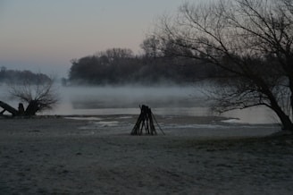 A misty old wooden bridge over a quiet river at dawn, with shadowy ravens perched nearby.