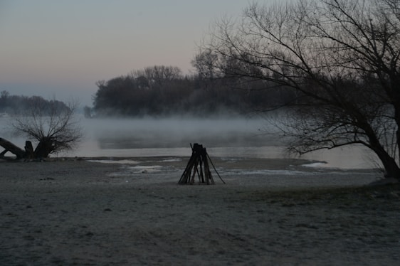 A misty old wooden bridge over a quiet river at dawn, with shadowy ravens perched nearby.