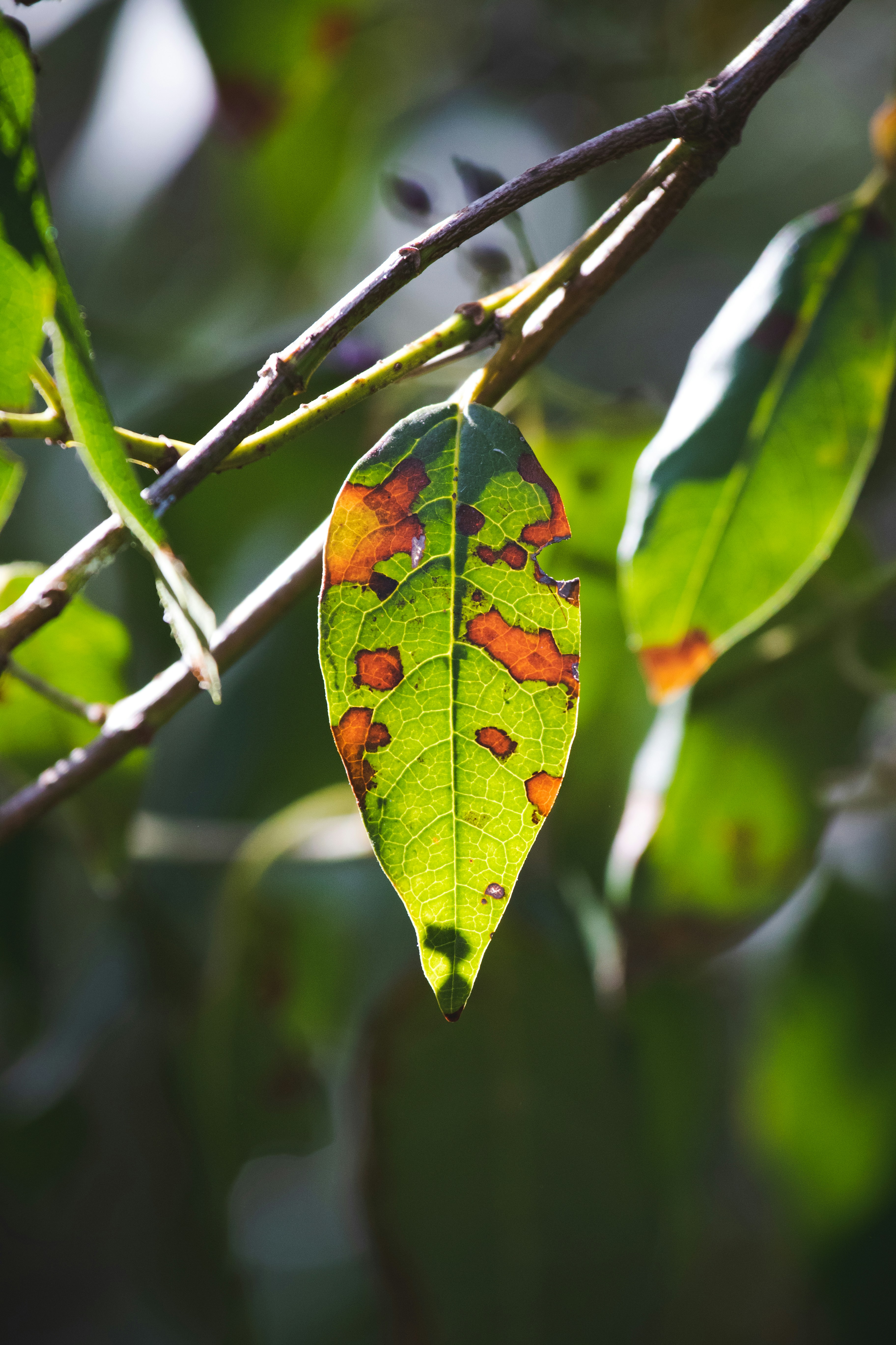 Photo by mattia_poli_04