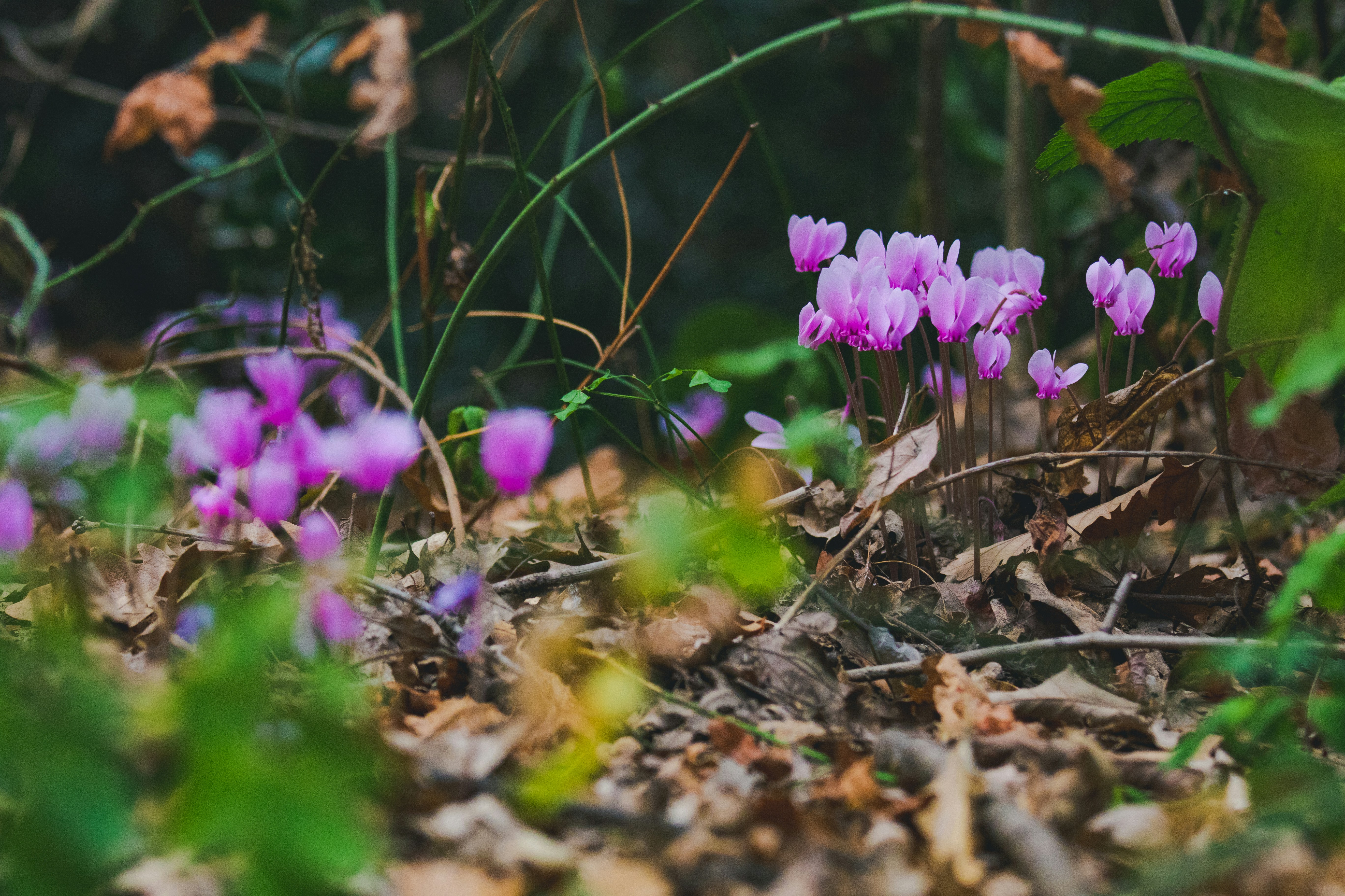 Photo by mattia_poli_04