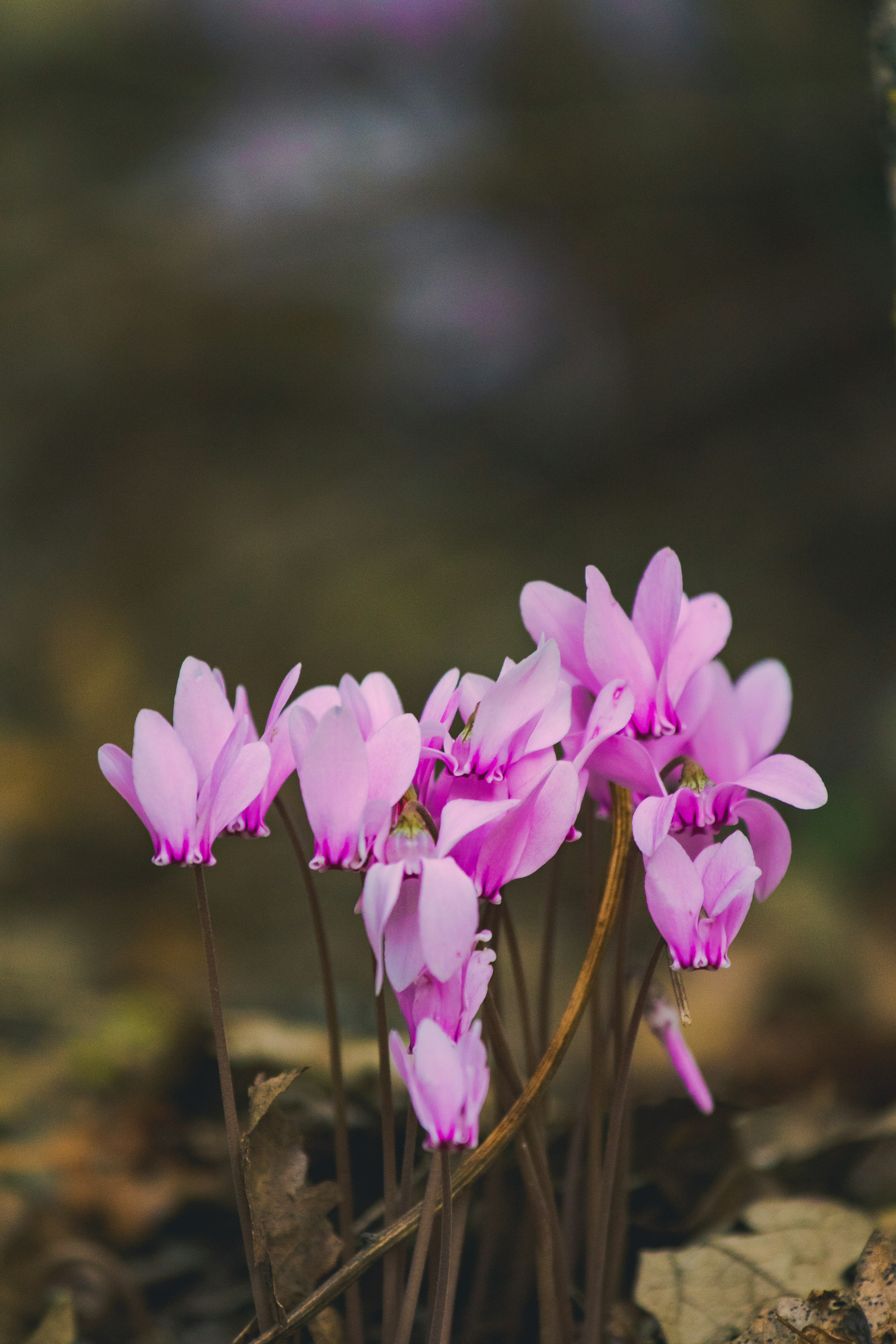 Photo by mattia_poli_04