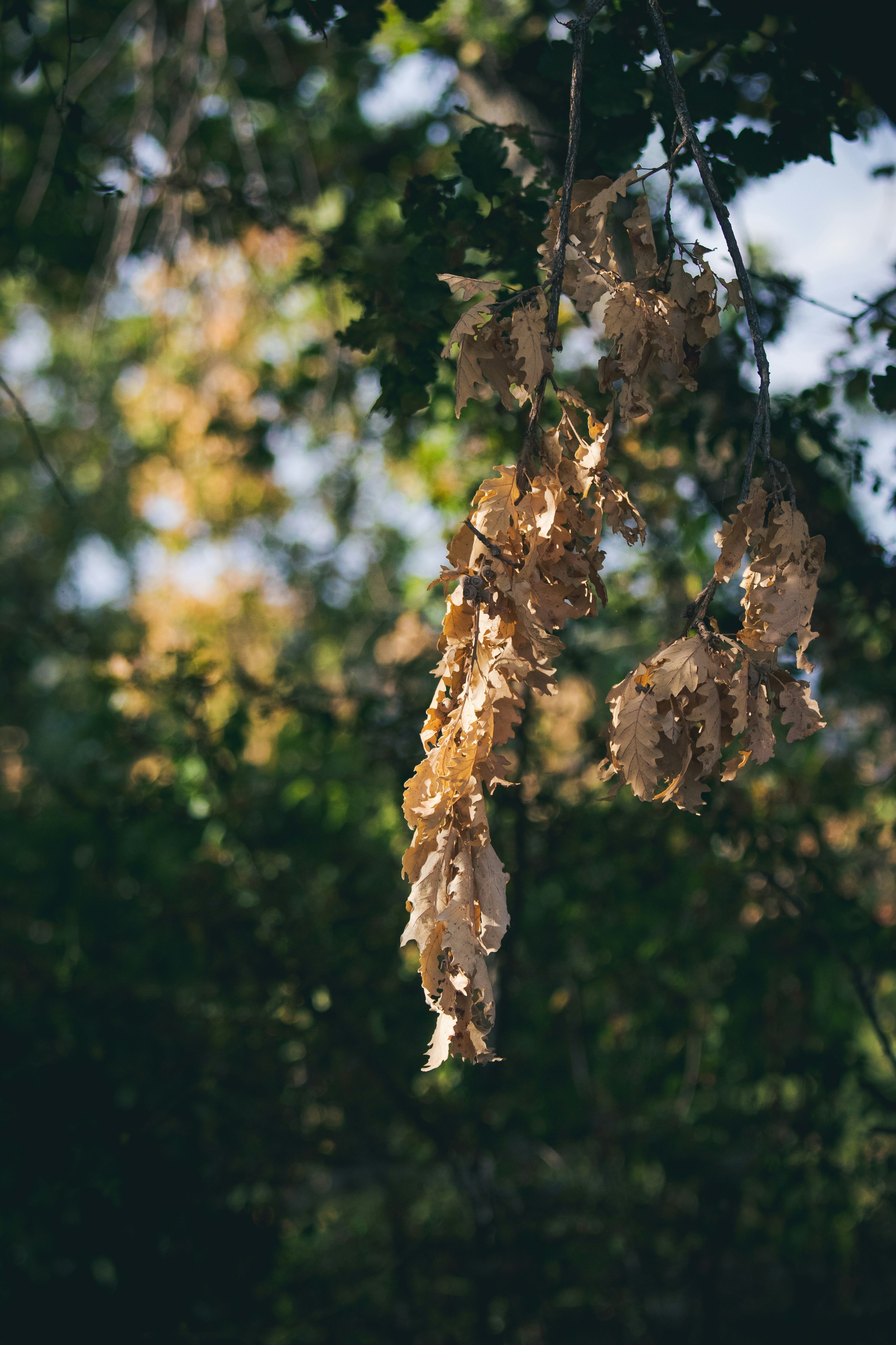 Photo by mattia_poli_04