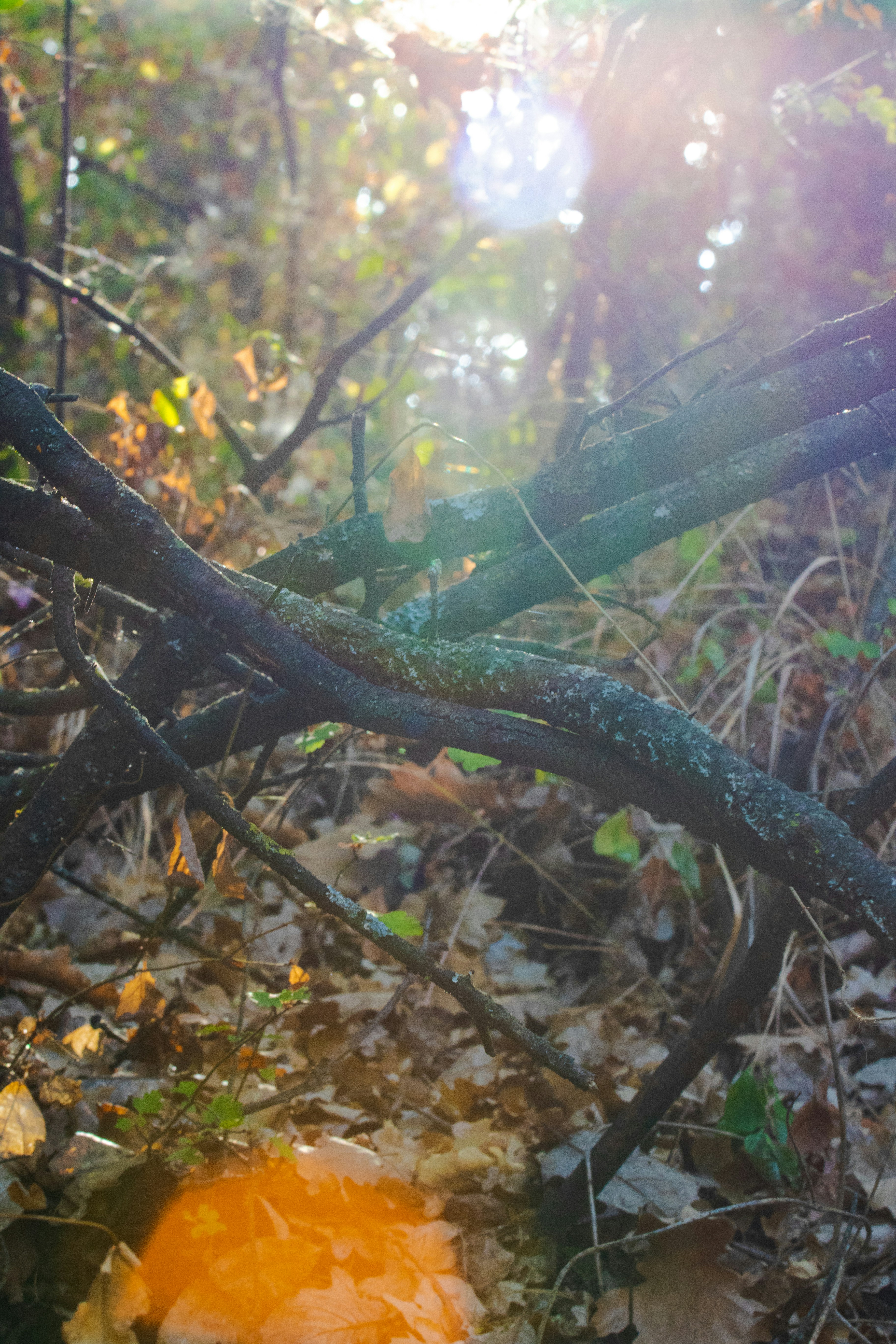 Photo by mattia_poli_04