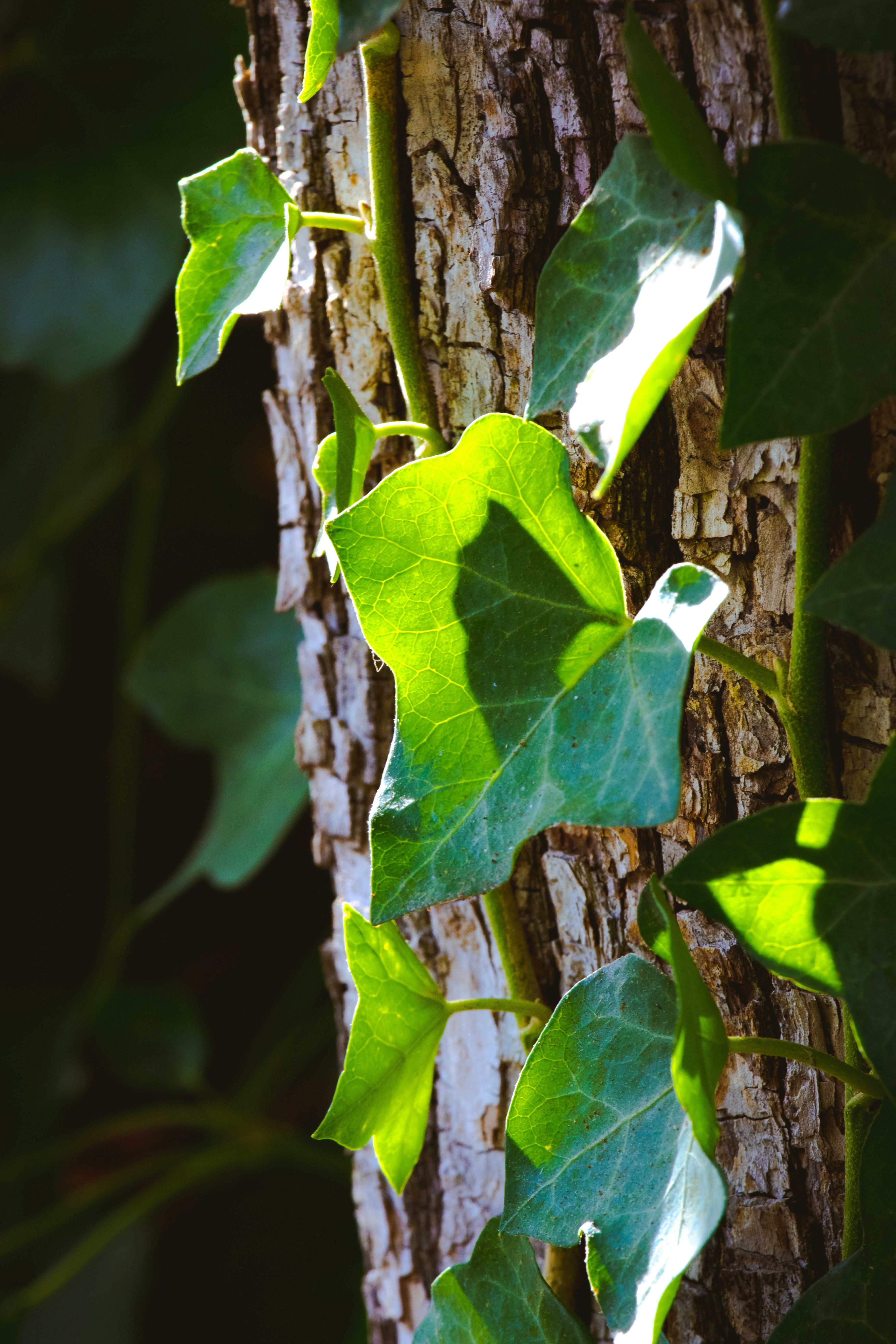 Photo by mattia_poli_04