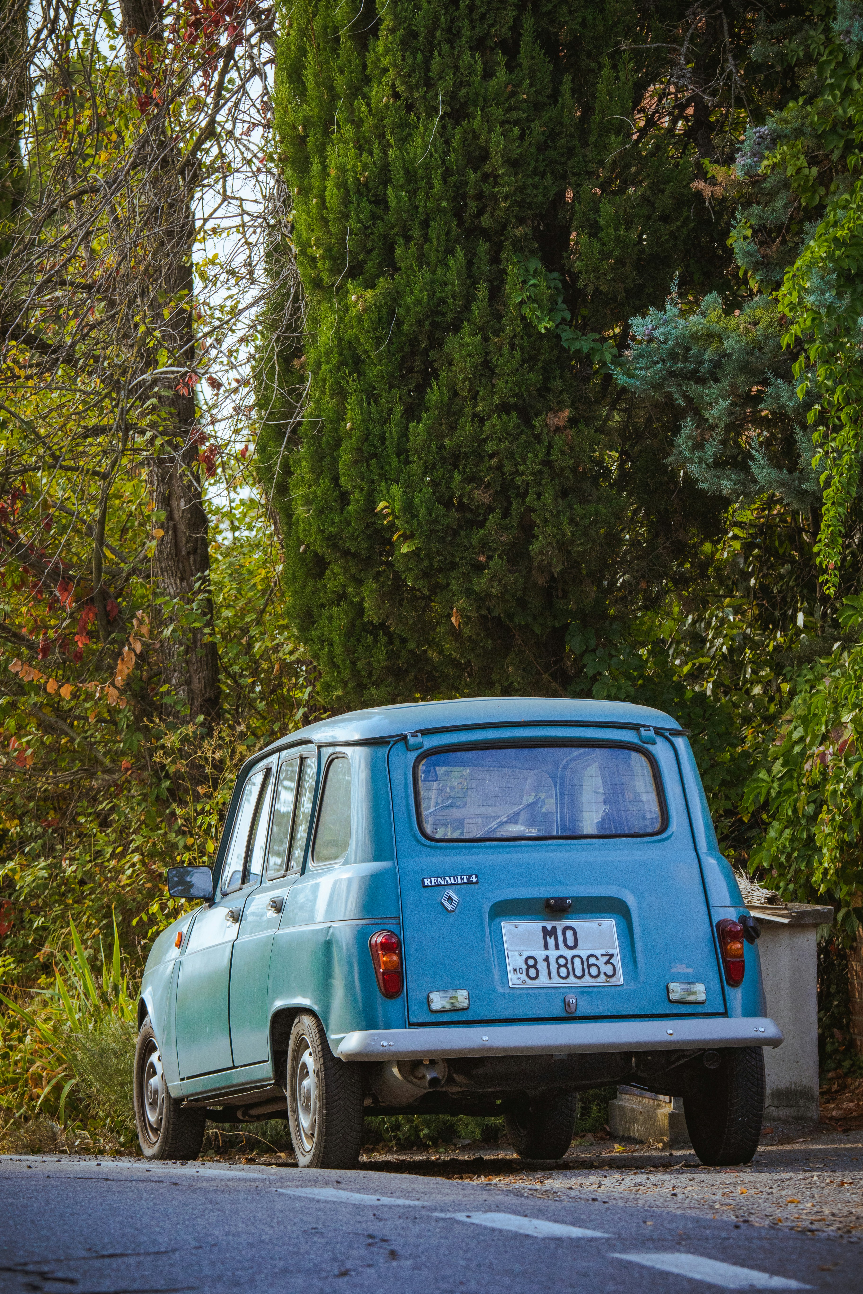 Photo by mattia_poli_04