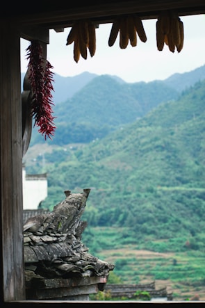 A scenic view of the mountains with traditional food.