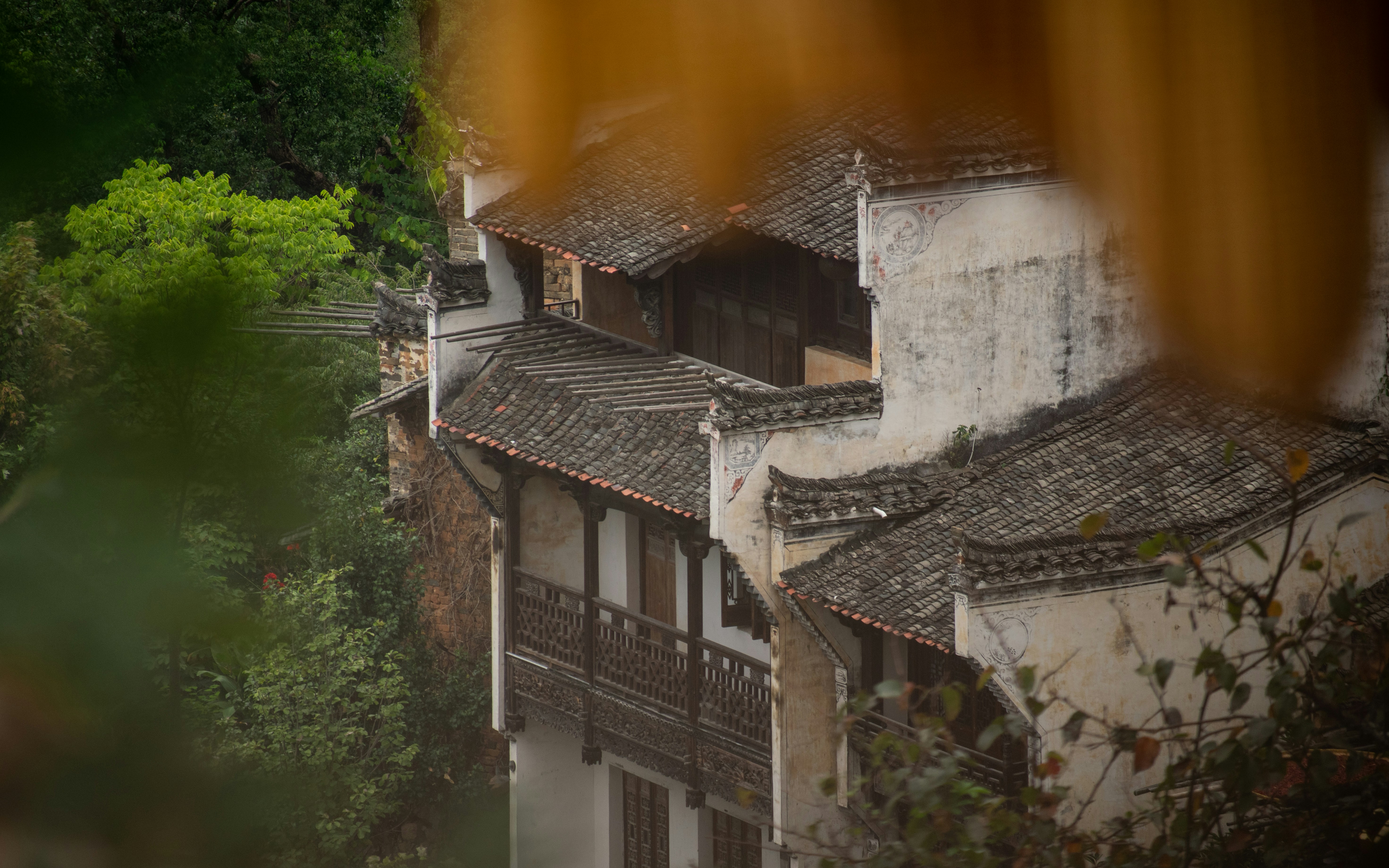 Photo by wan_linqiuyi