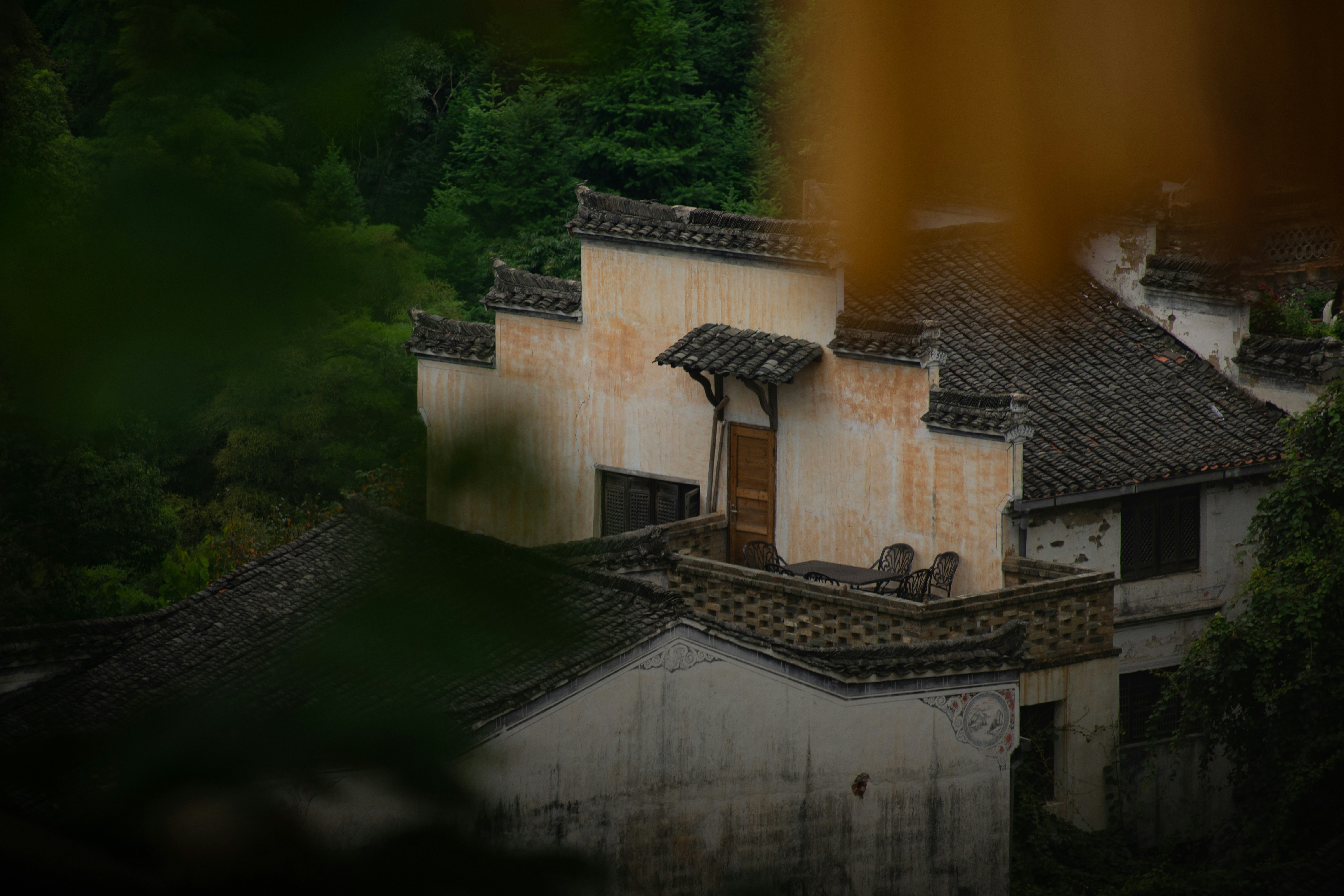 Photo by wan_linqiuyi