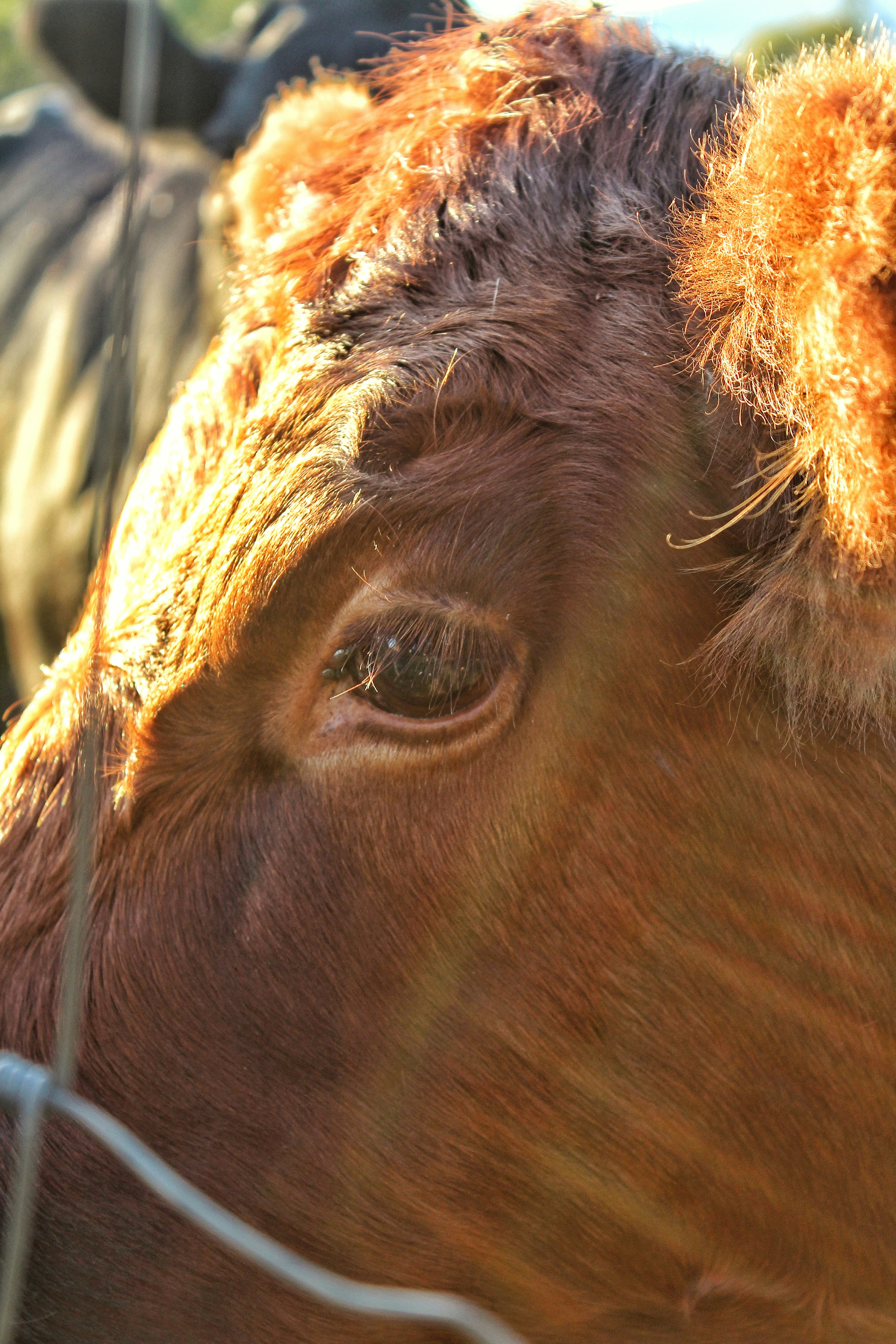 Photo by kaylinbocker