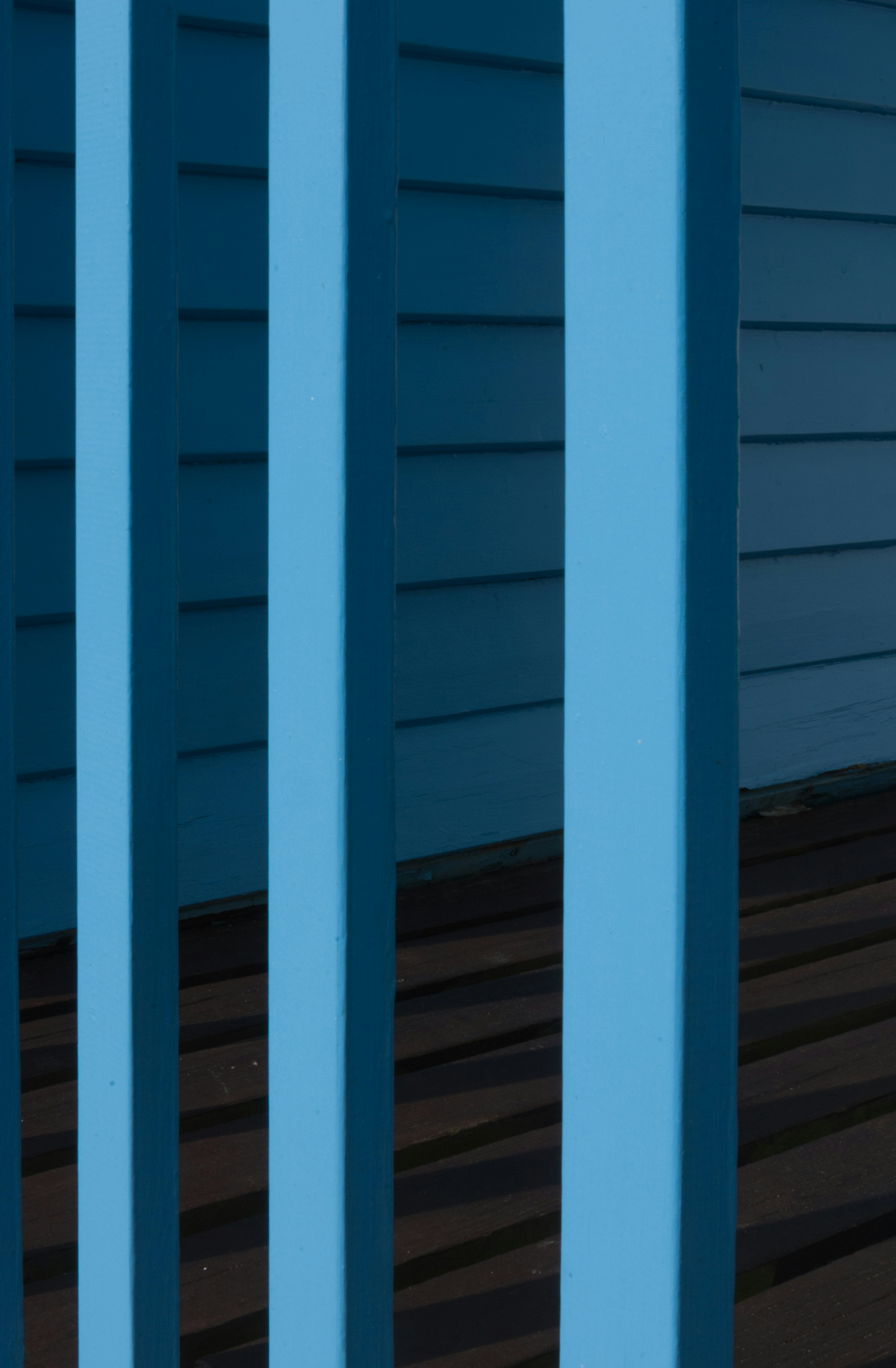 Photo by jersey_photos