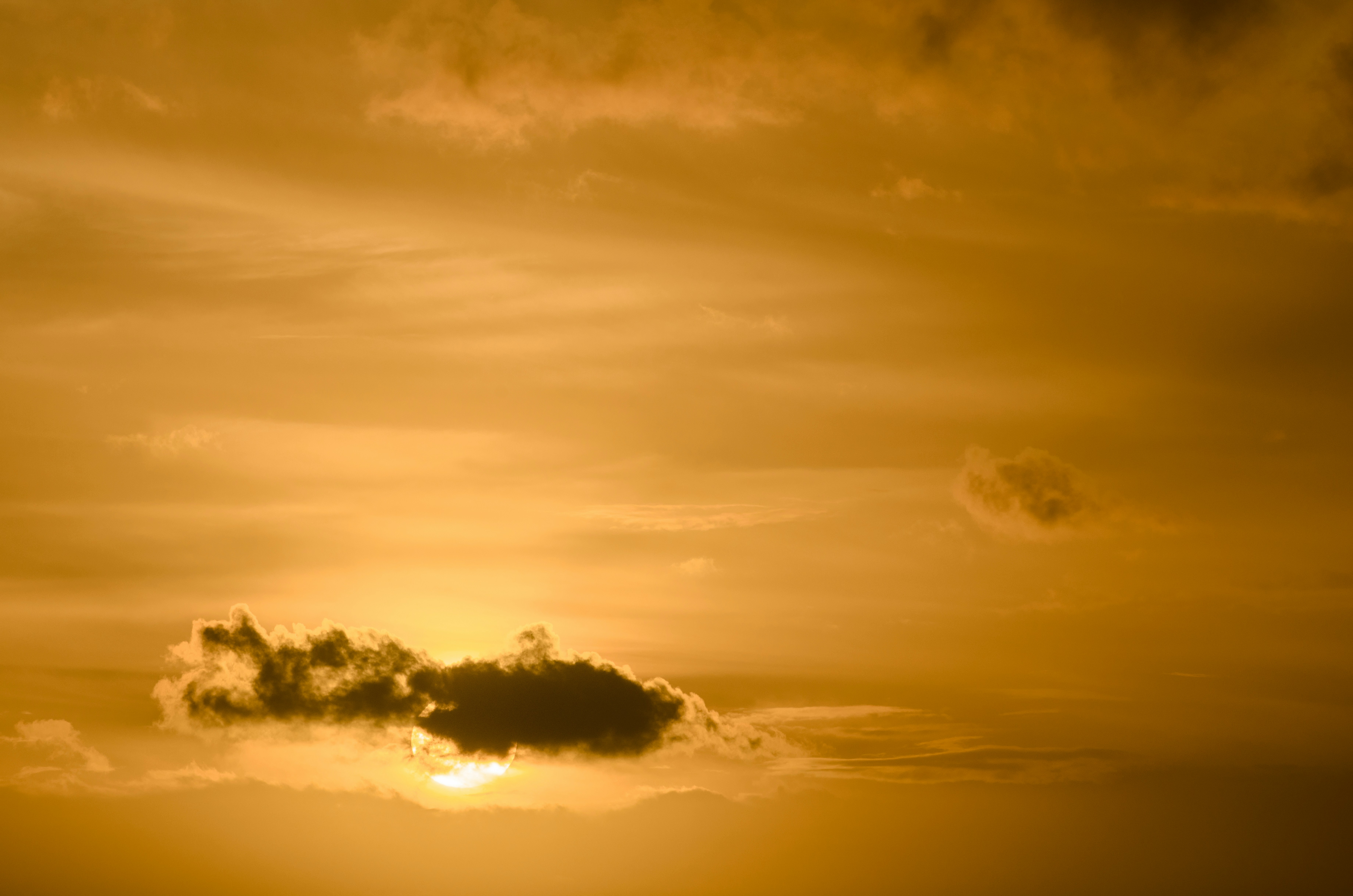 Photo by jersey_photos