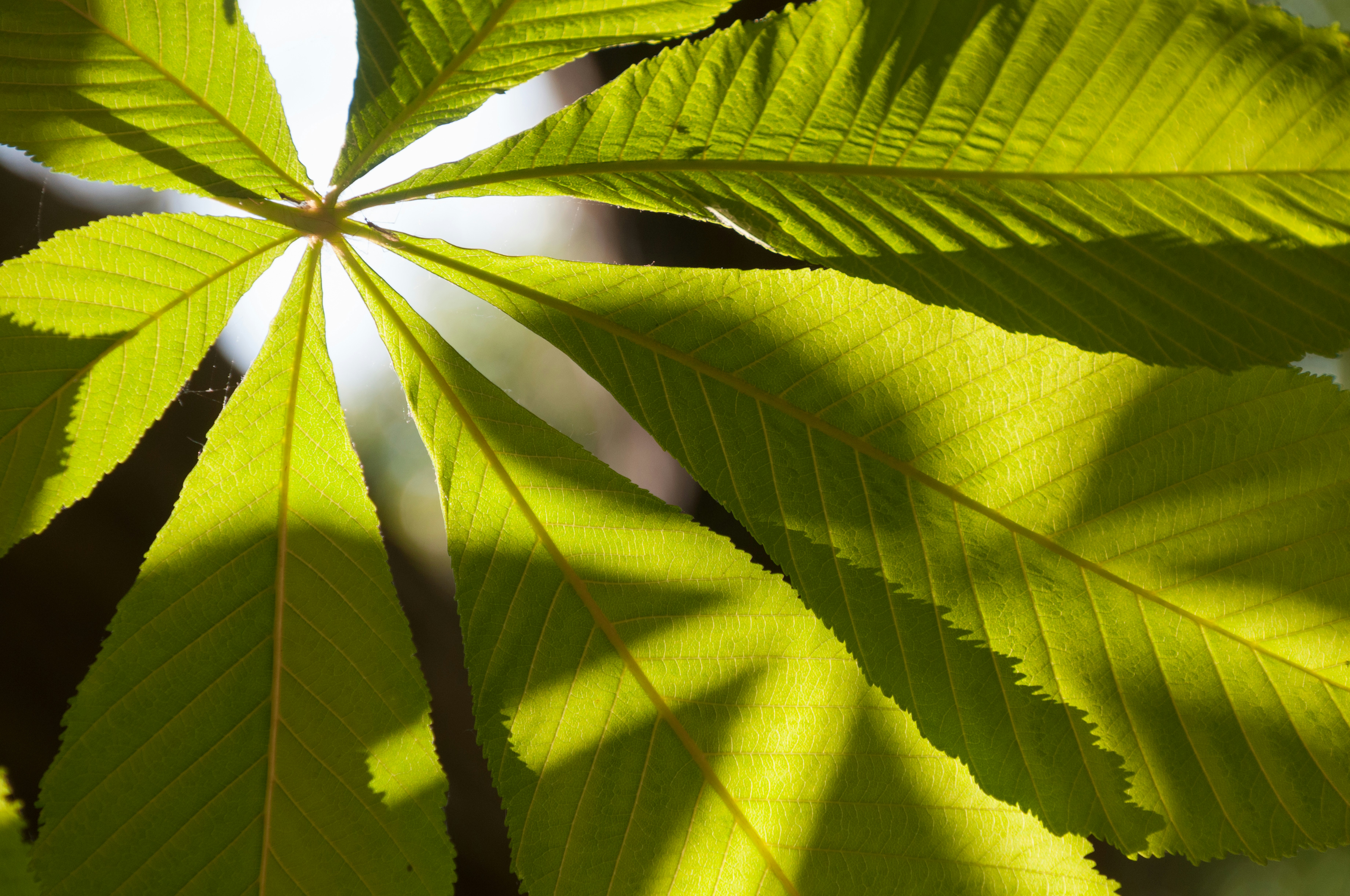 Photo by jersey_photos