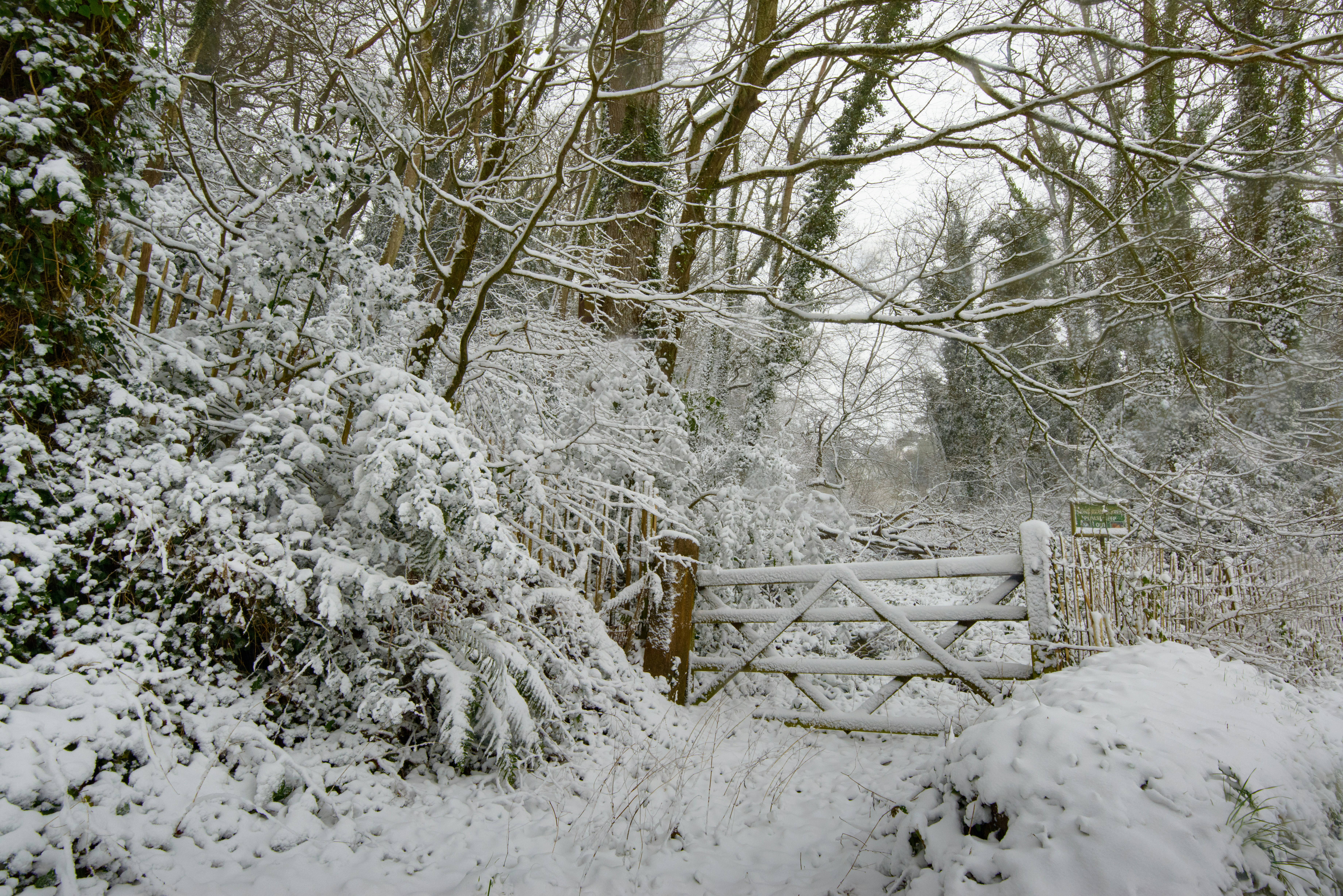 Photo by jersey_photos