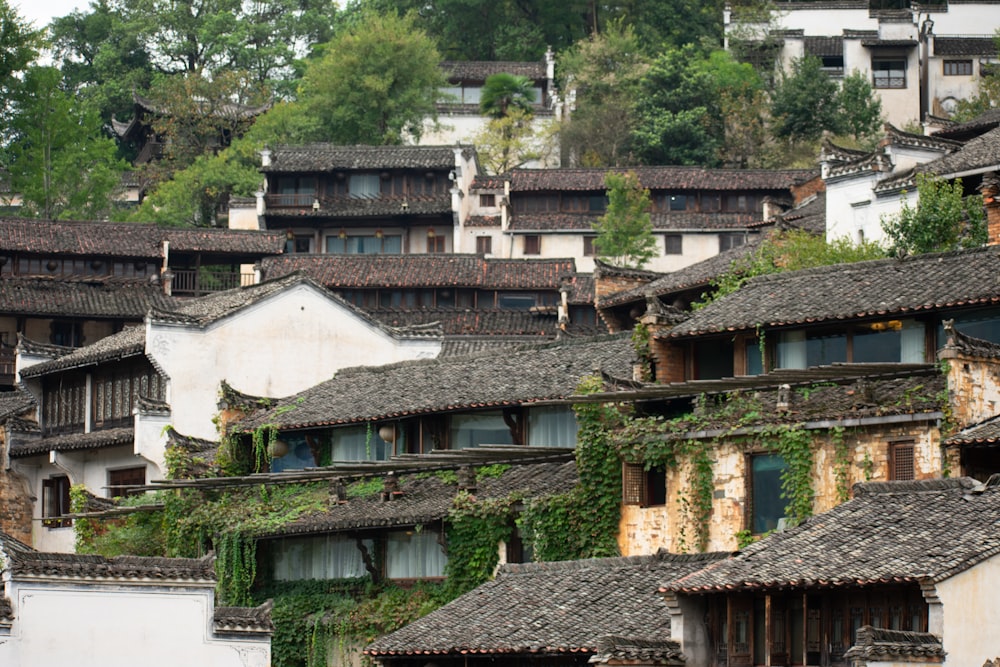 a row of buildings with vines growing on them