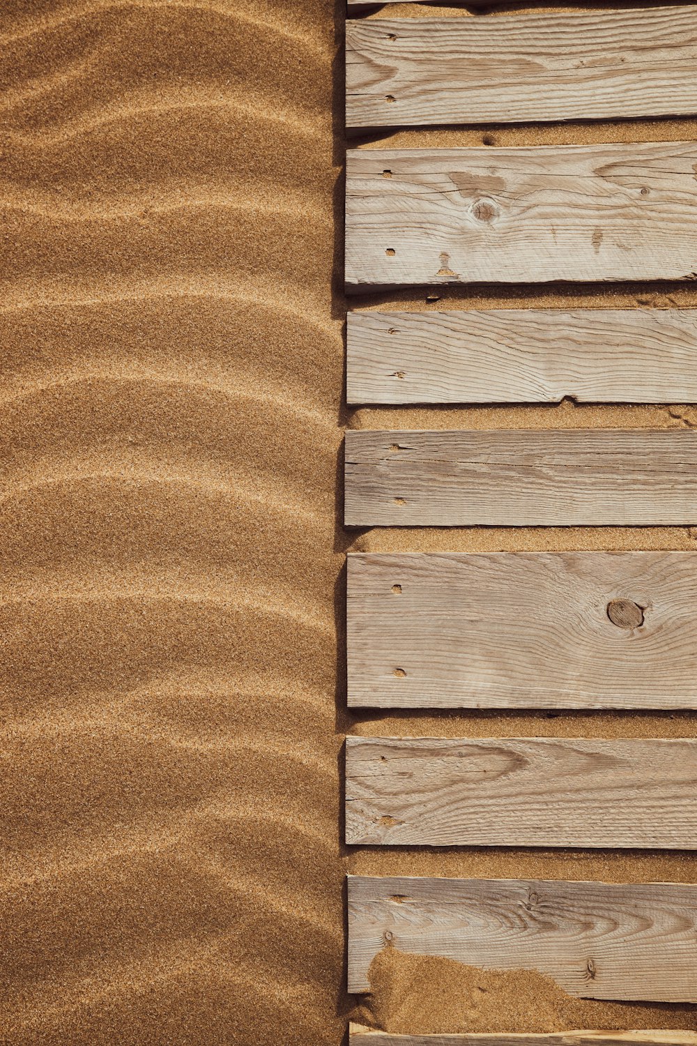 un primo piano di una tavola di legno su una spiaggia