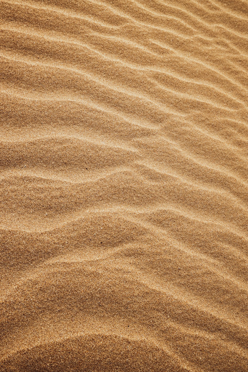모래에 작은 파도가 있는 모래 지역