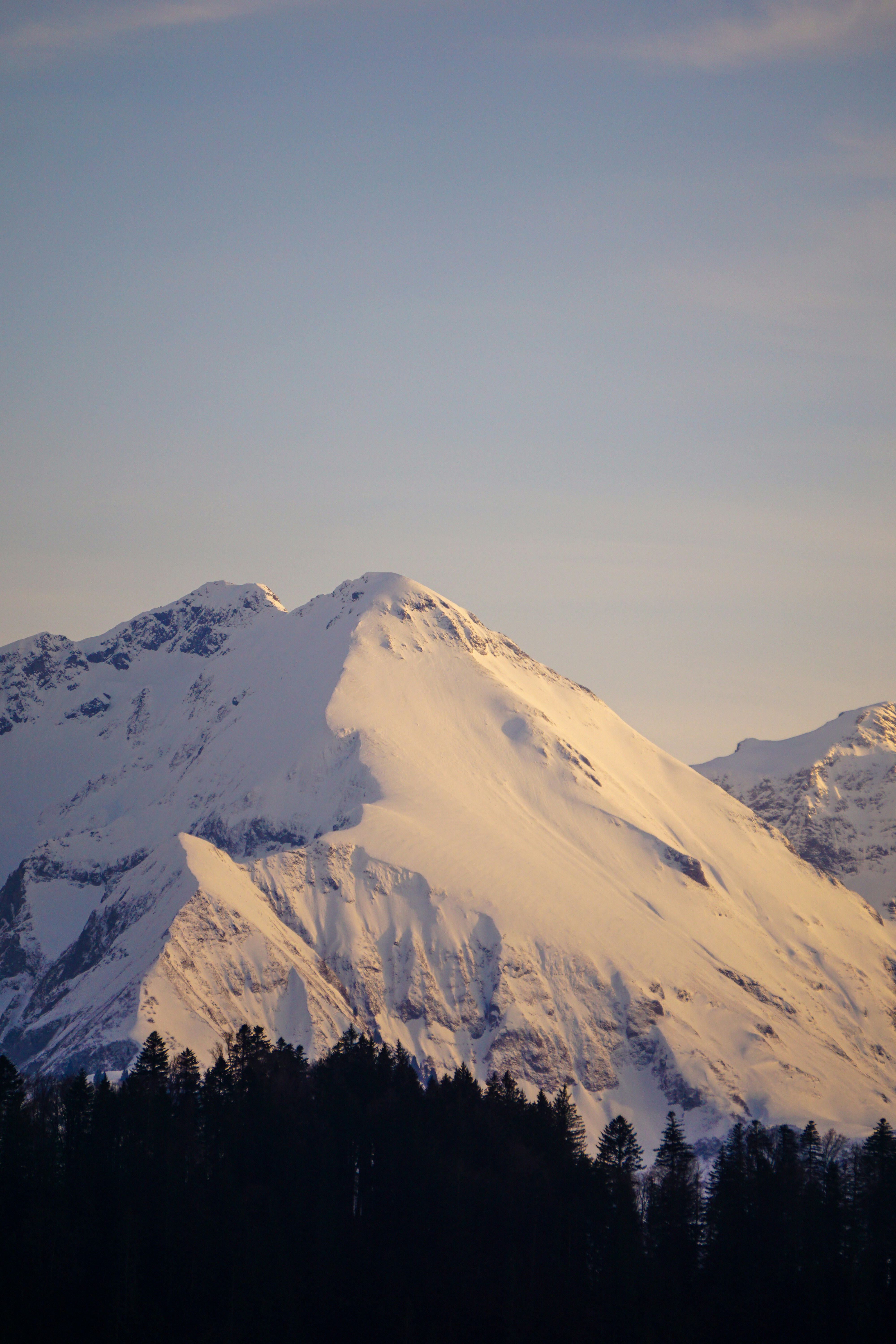 a snow covered mountain with trees in the foreground