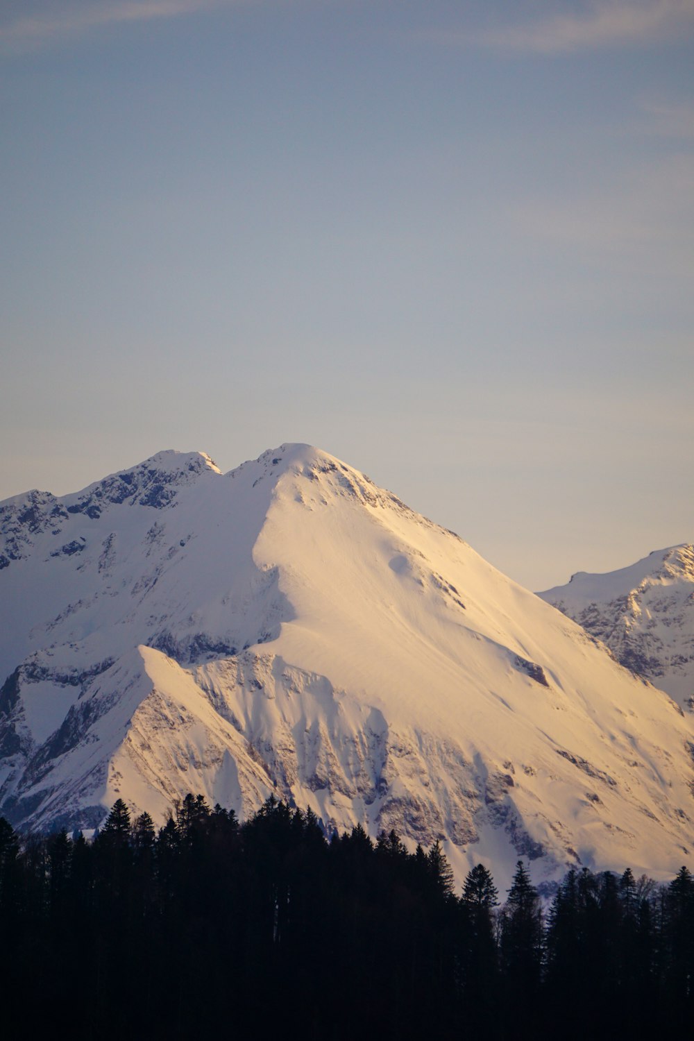 a snow covered mountain with trees in the foreground