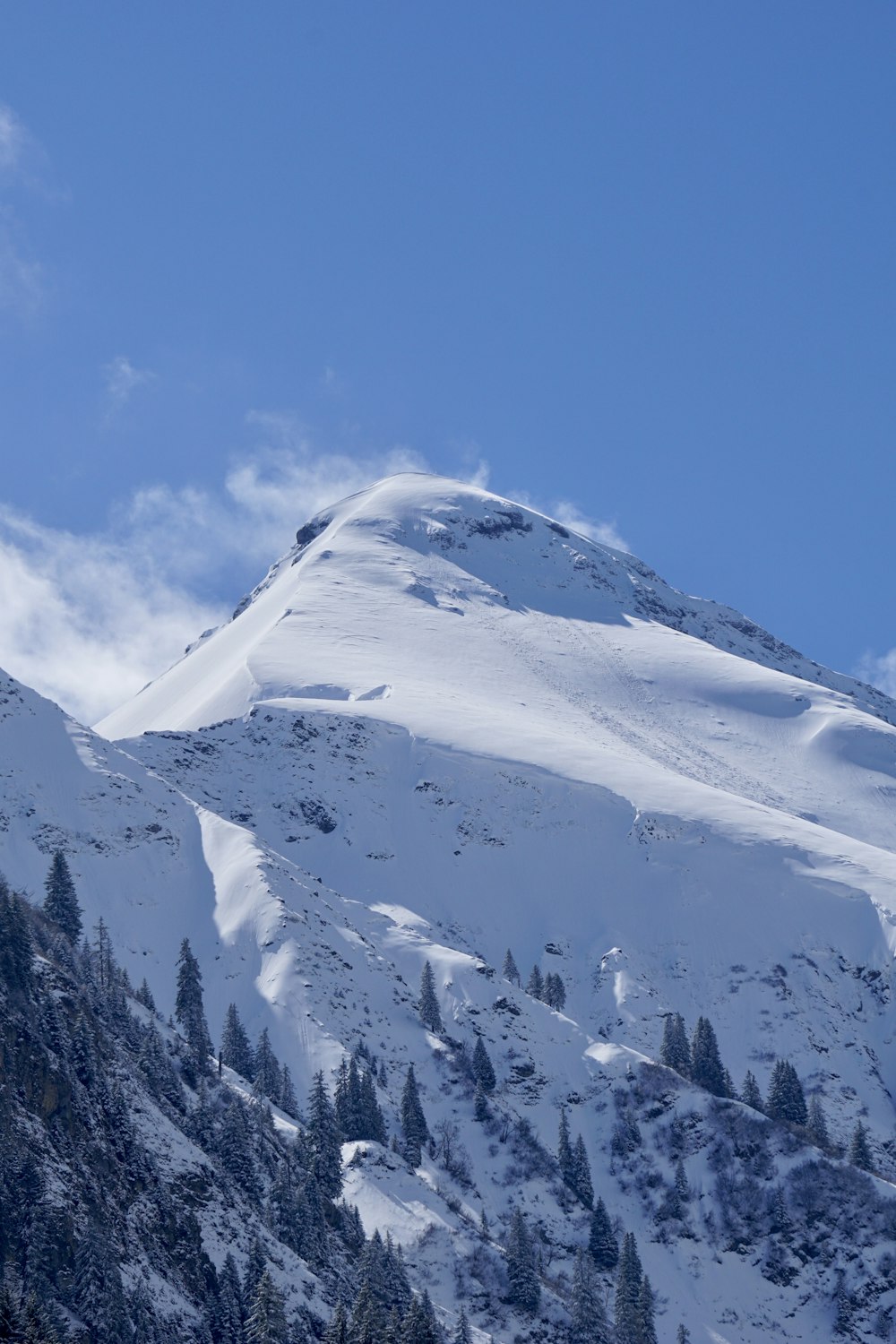 a snow covered mountain with trees on the side