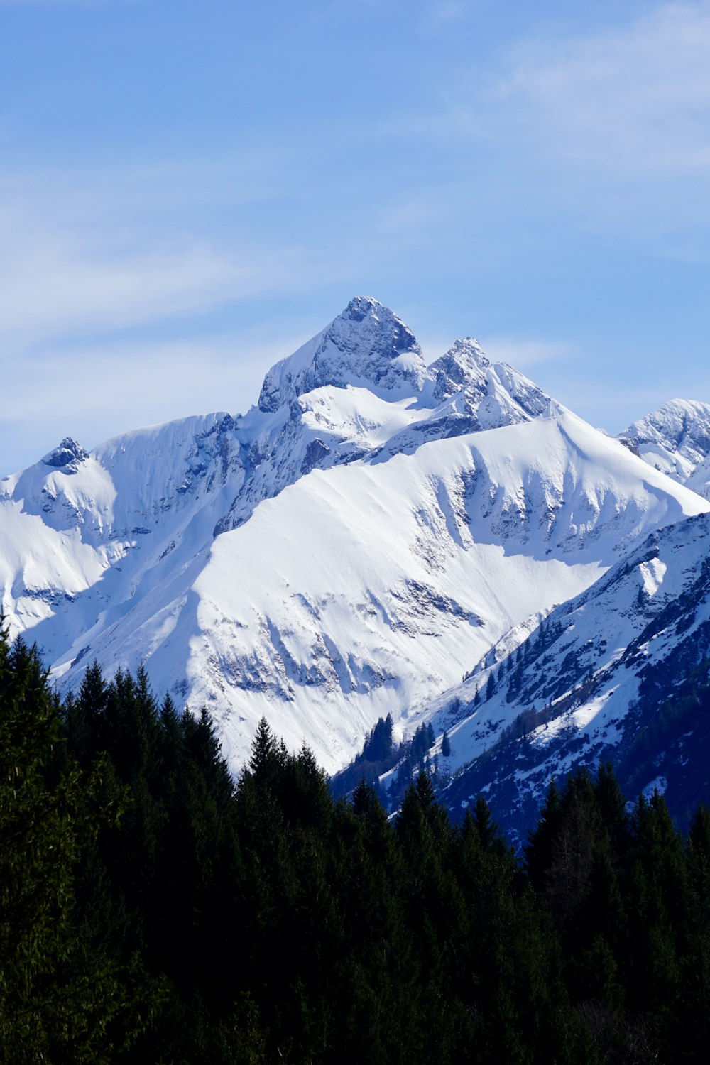 a mountain covered in snow surrounded by trees