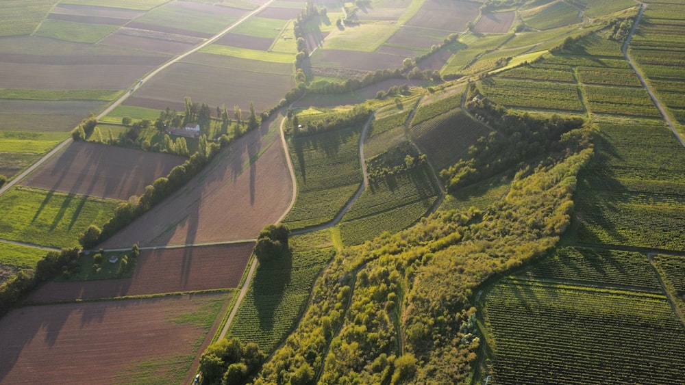 an aerial view of a farm land with a winding road