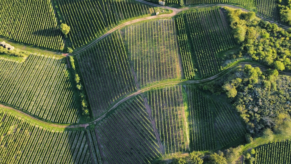 an aerial view of a road winding through a field