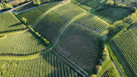 Aerial view of a patchwork of vineyards and farms blending natural landscape with fintech infrastructure.
