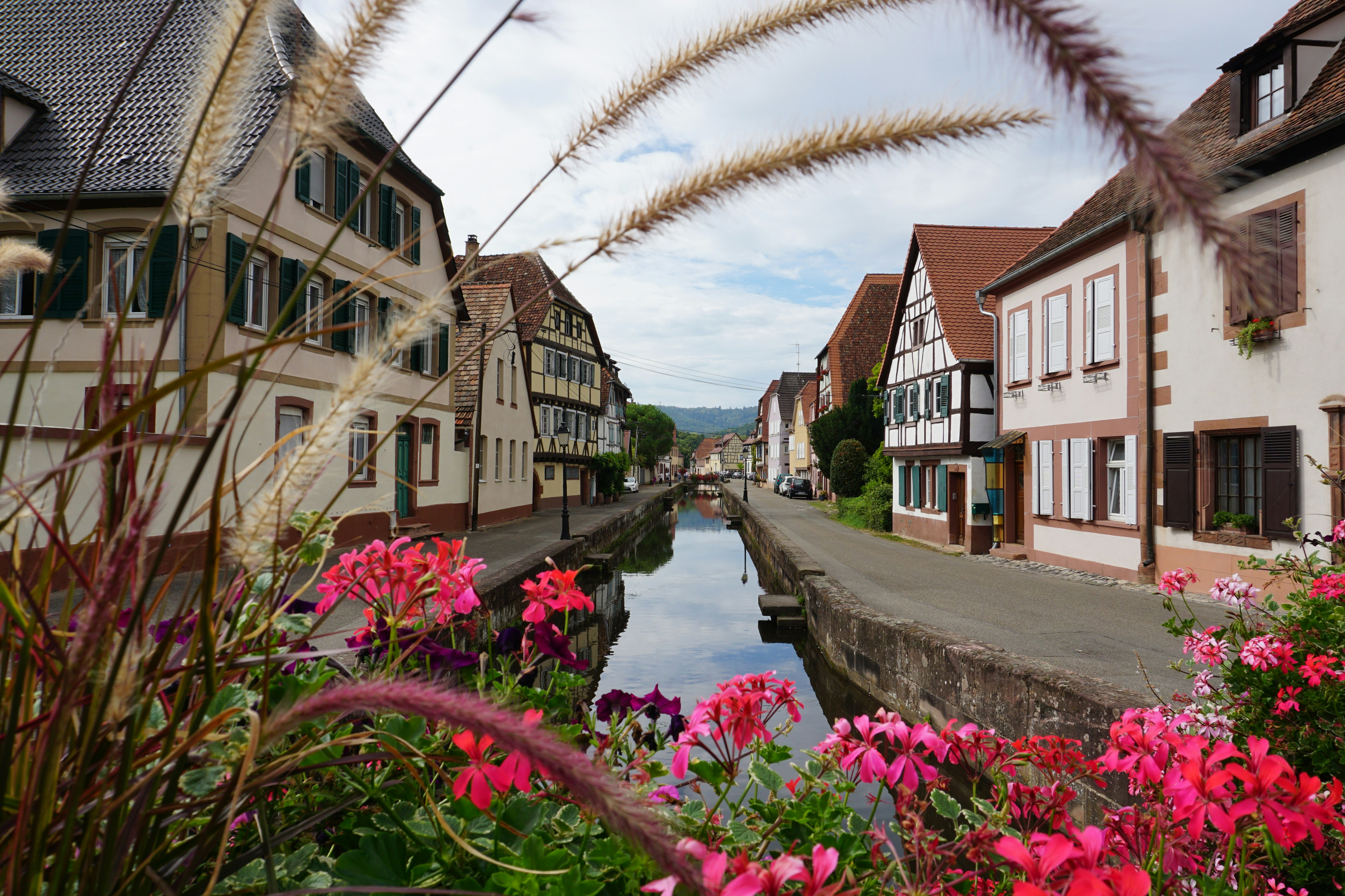 a river running through a small town surrounded by flowers, 