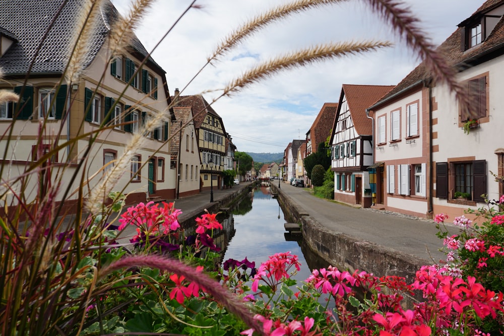 a river running through a small town surrounded by flowers