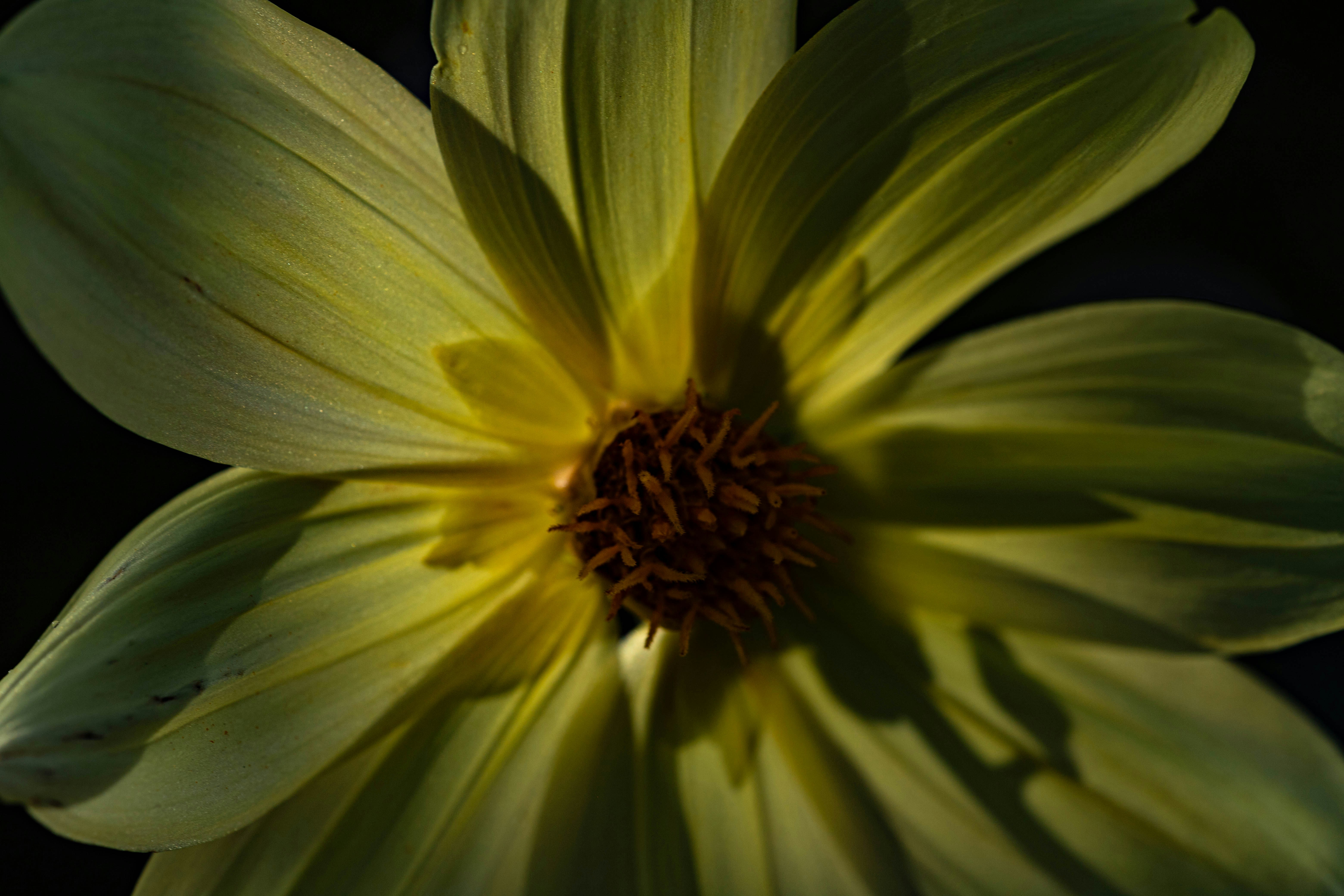 Nagelfeilen und Buffer