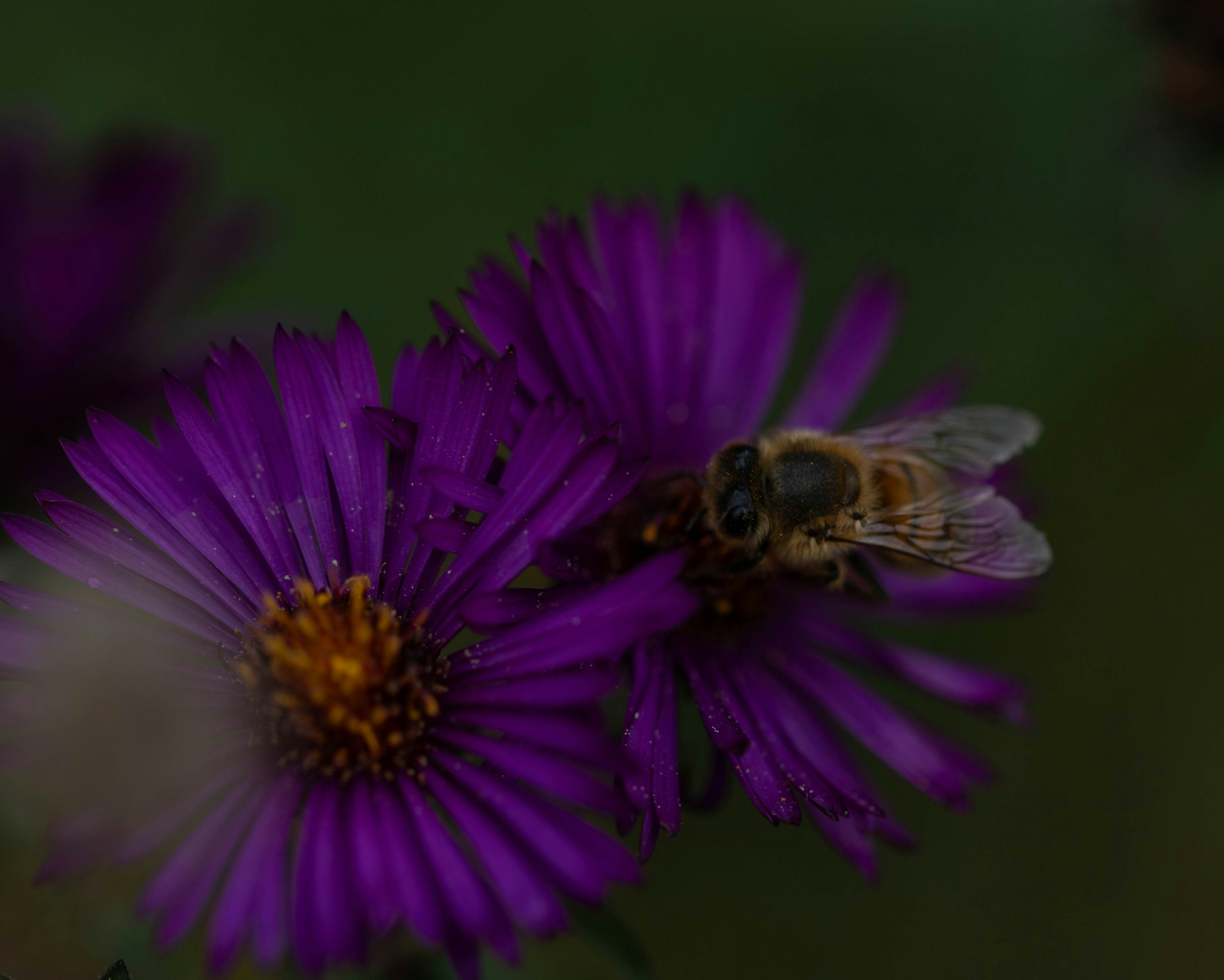 Kundenbewertungen und Empfehlungen