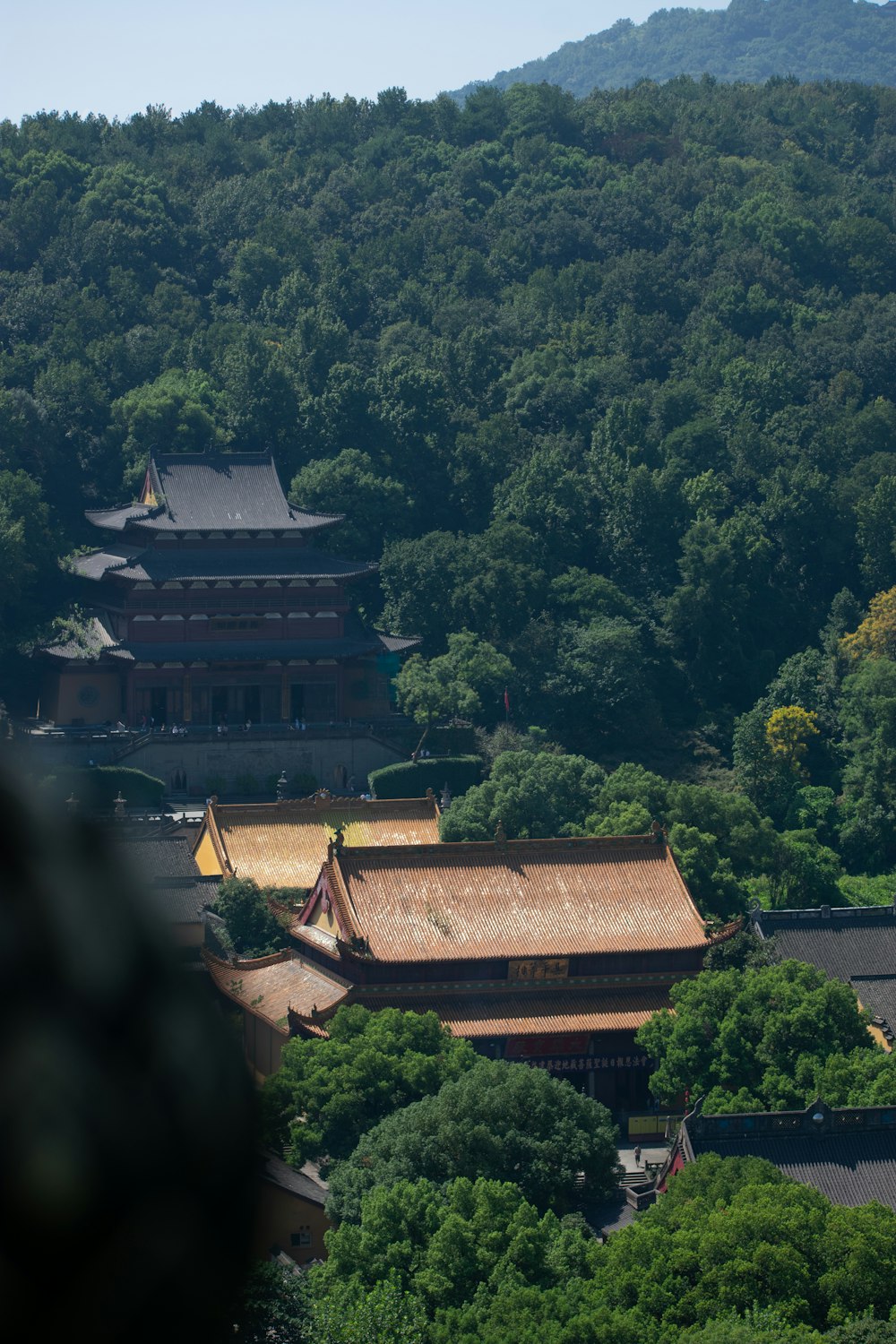 a view of a building in the middle of a forest