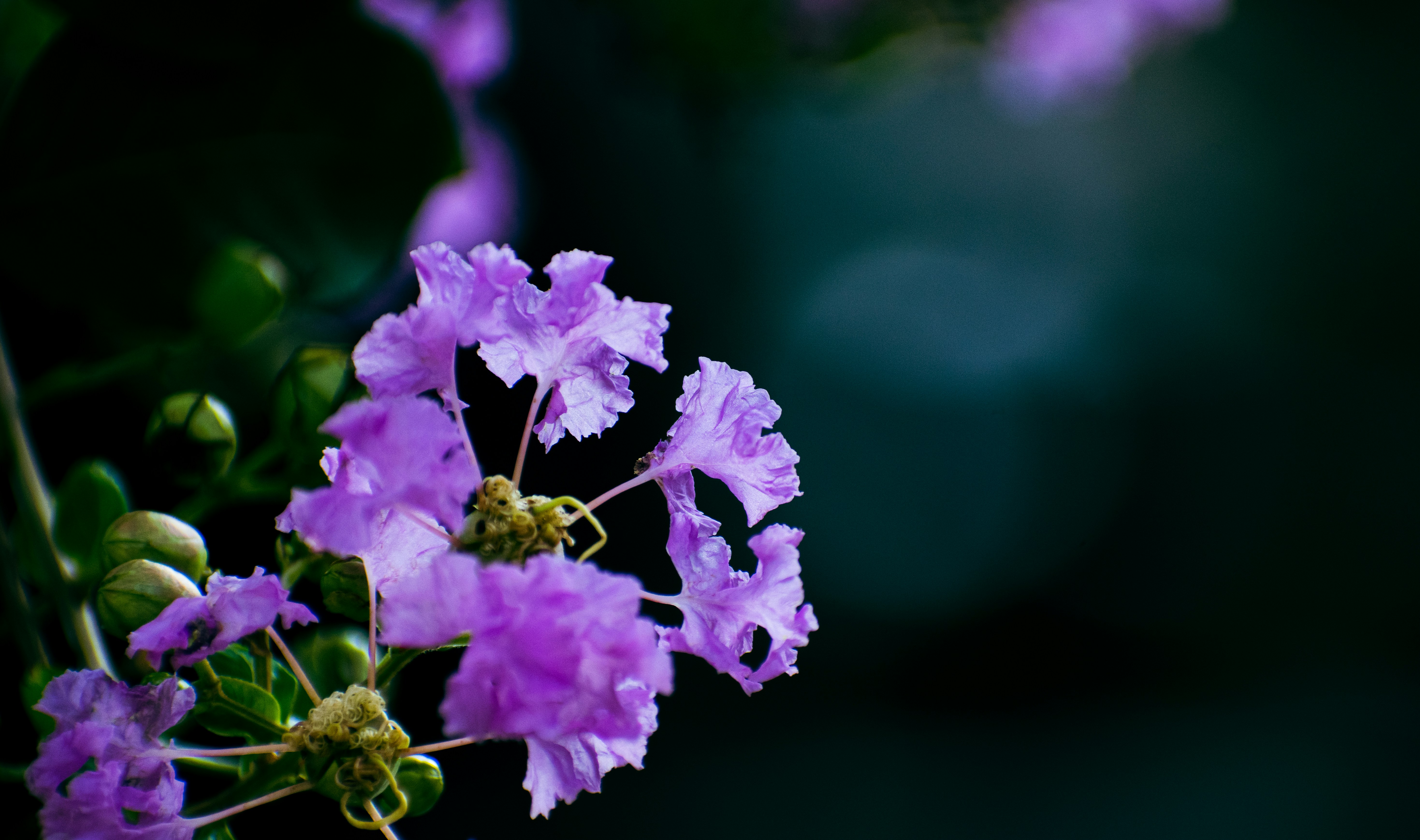 Photo by wan_linqiuyi