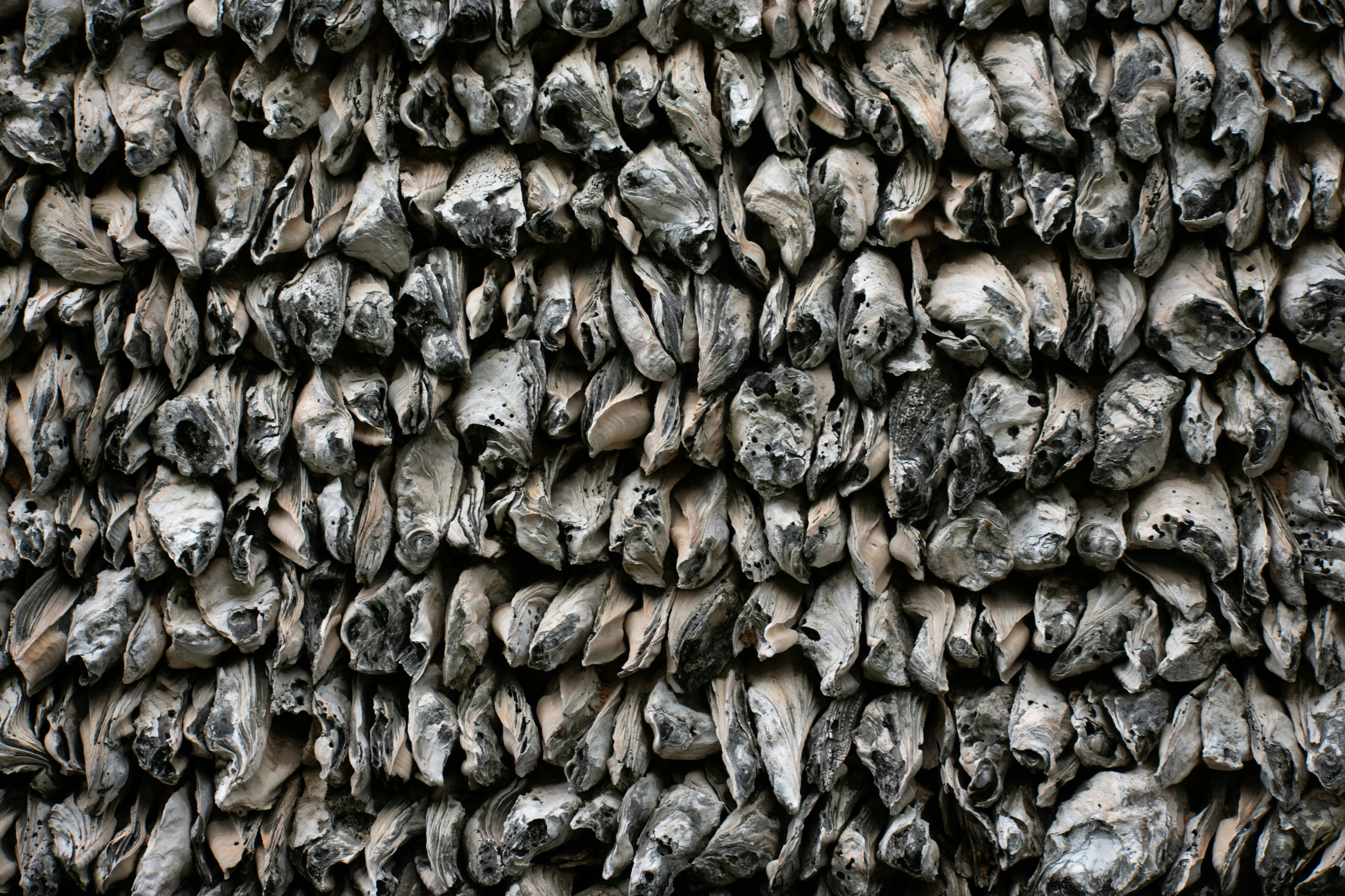 Nahaufnahme einer Mauer aus Steinen