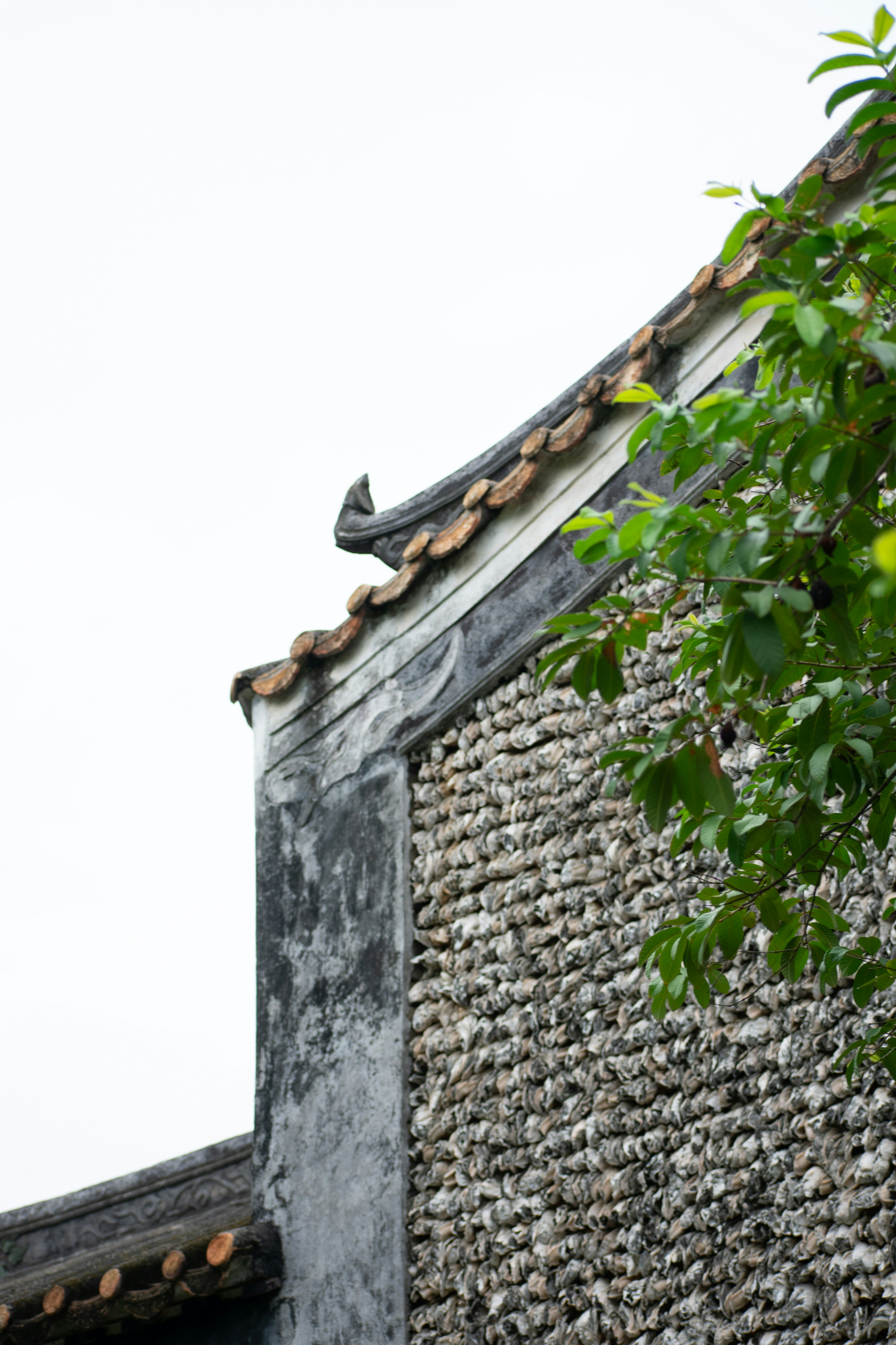 A bird is perched on the roof of a building photo – Free Building Image ...