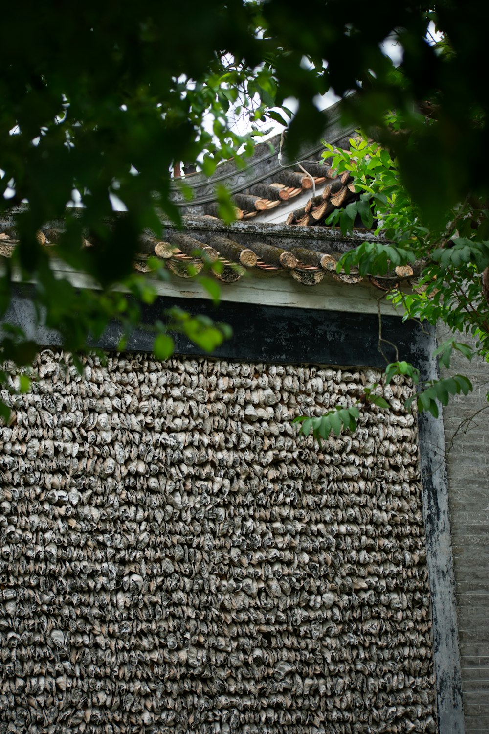 a building with a wall made out of shells