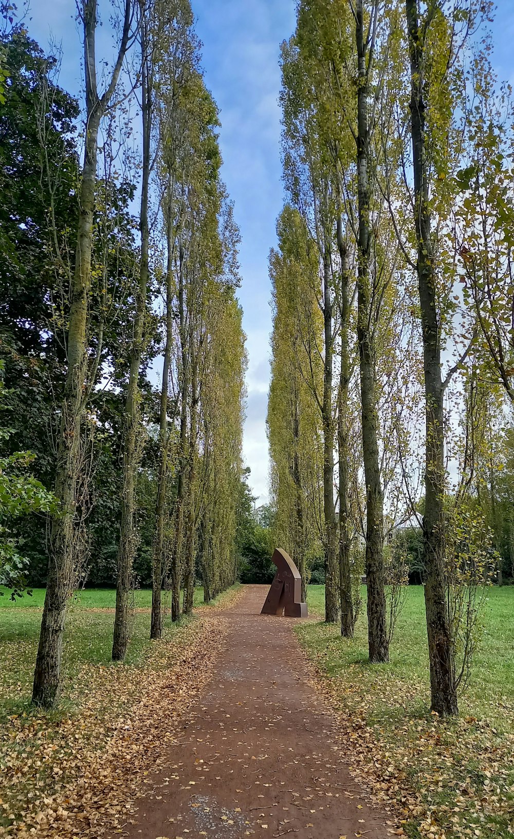 una strada sterrata circondata da alberi ed erba