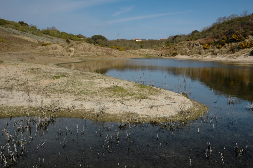 a body of water surrounded by grass and dirt