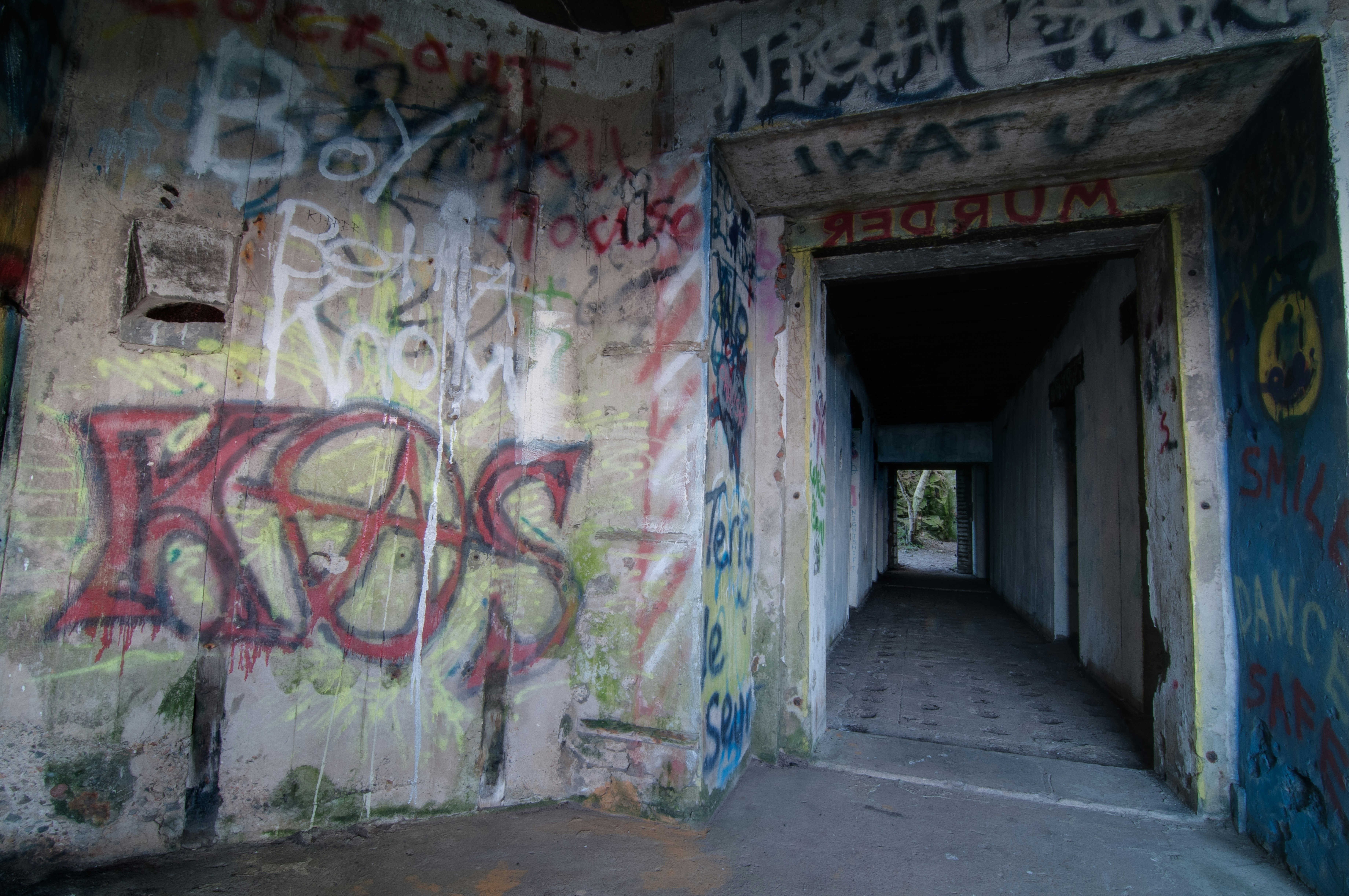 Photo by jersey_photos