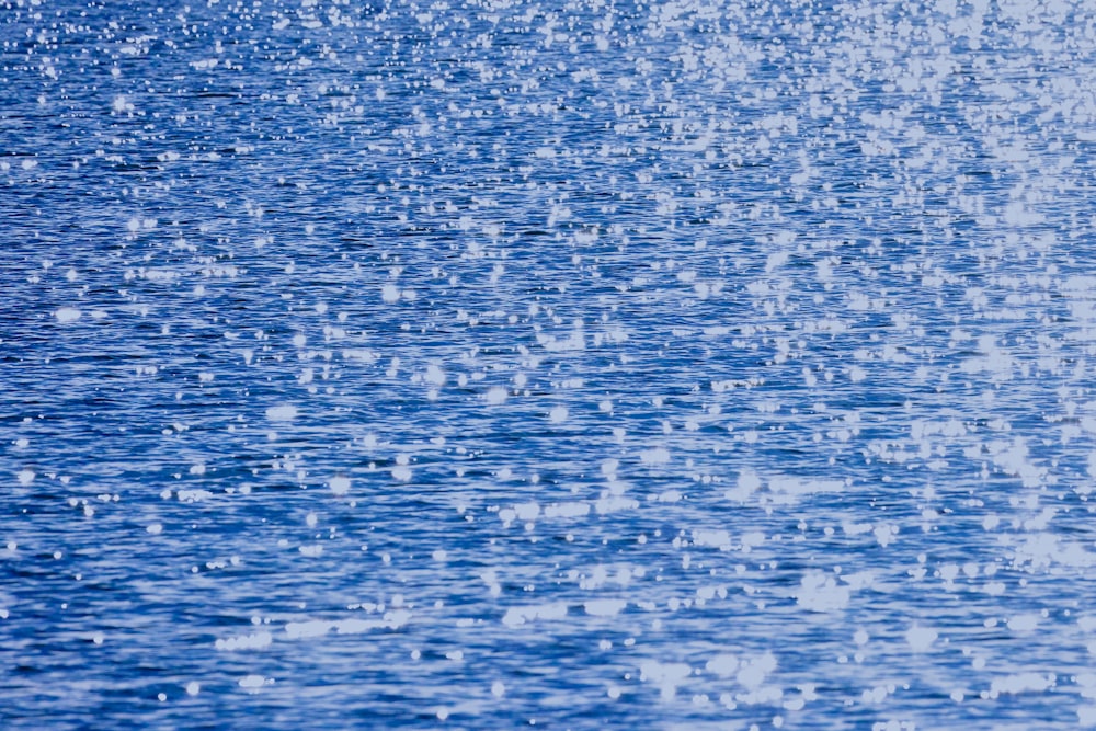 a large body of water filled with lots of water droplets