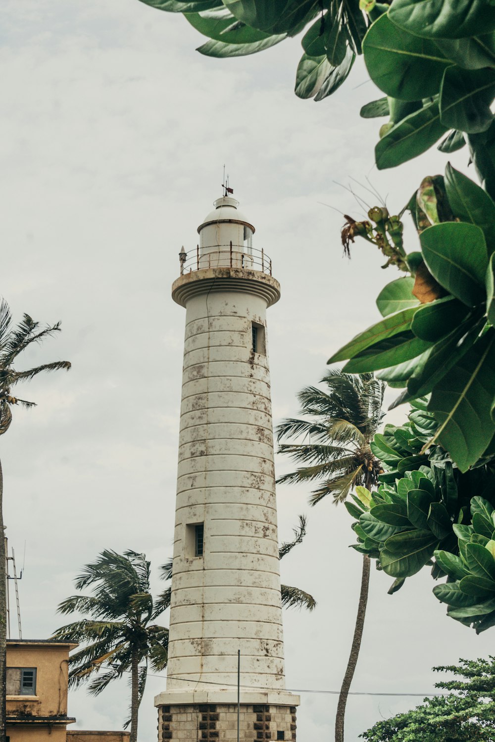 a white light house surrounded by palm trees