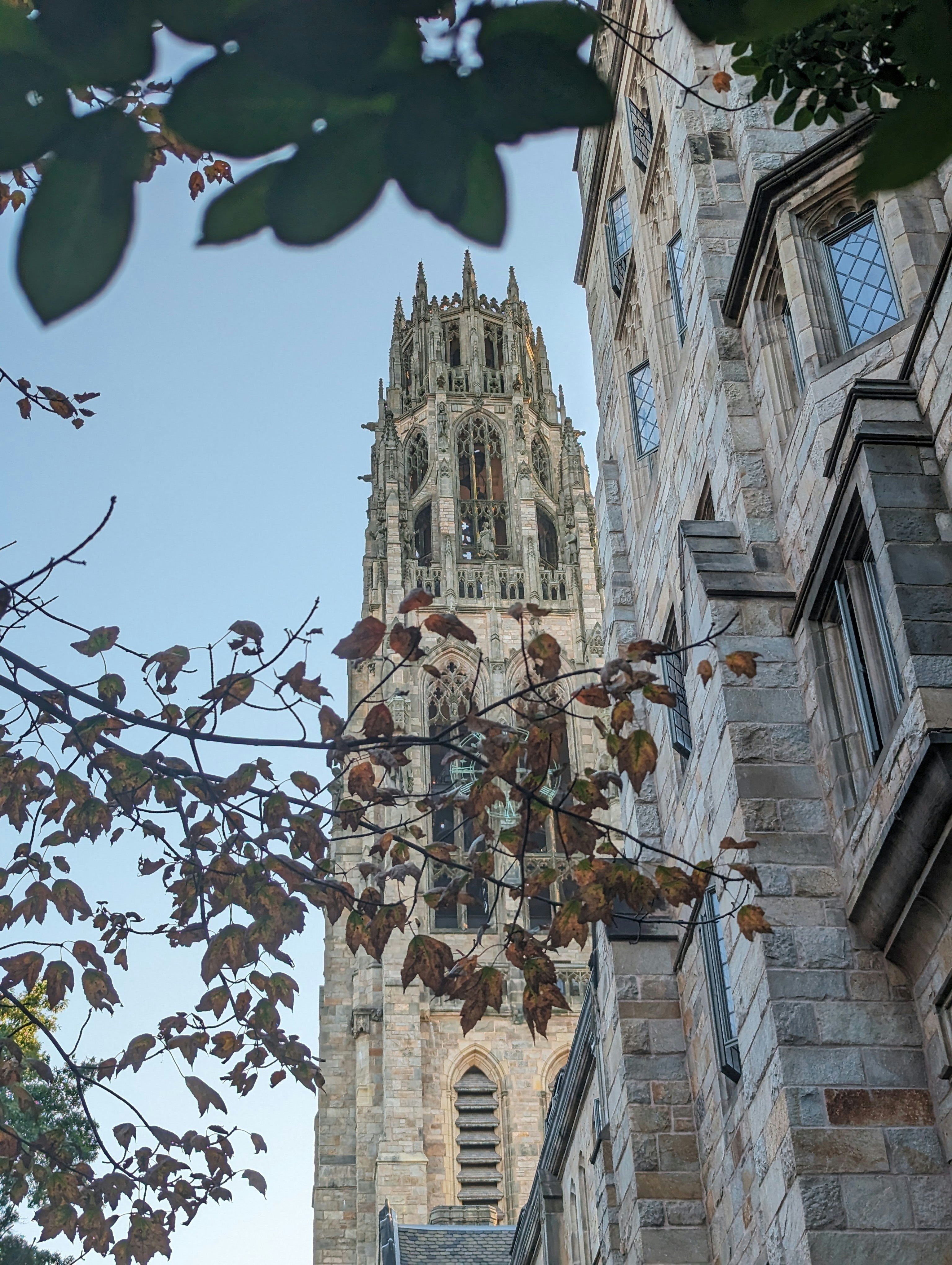 Garage door services in New Haven