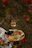 A beautifully arranged charcuterie board with fresh fruits and cheeses on a picnic blanket in Central Park.