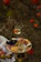 A beautifully arranged charcuterie board with fresh fruits and cheeses on a picnic blanket in Central Park.