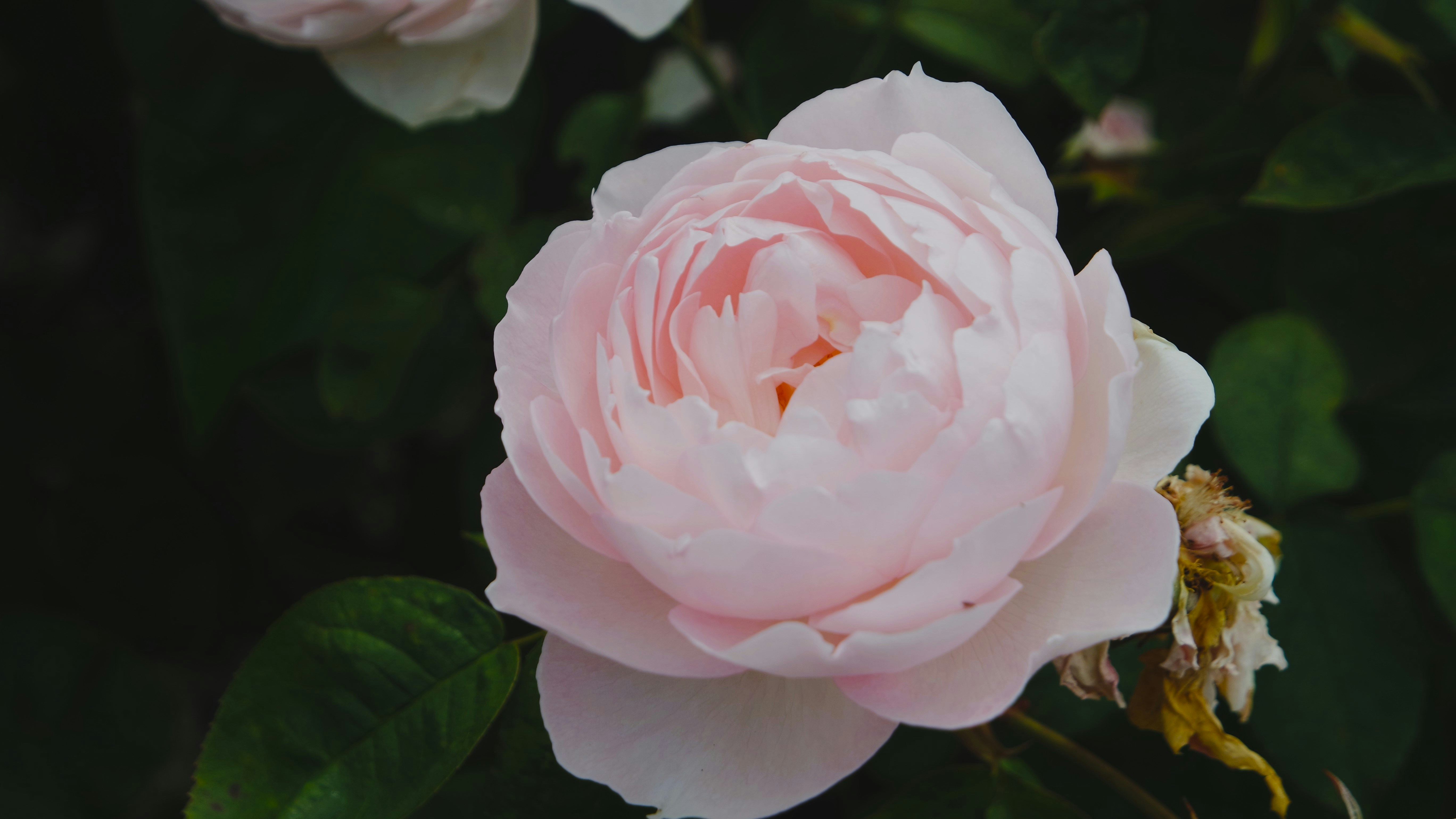Photo by amyw585