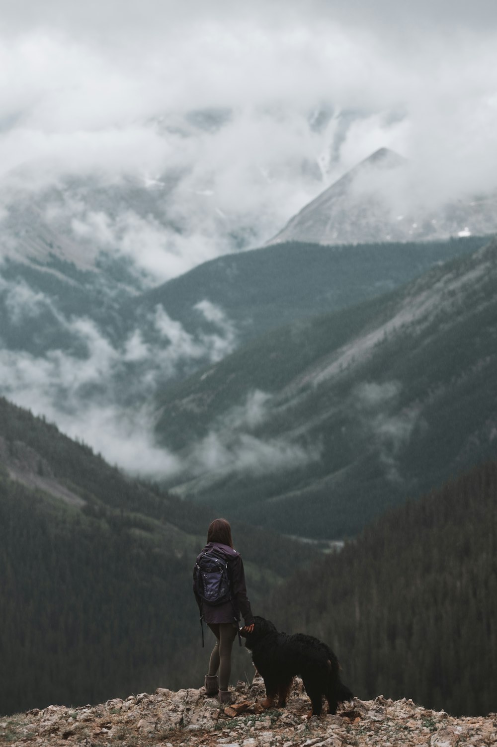 a person with a backpack and a dog on a mountain