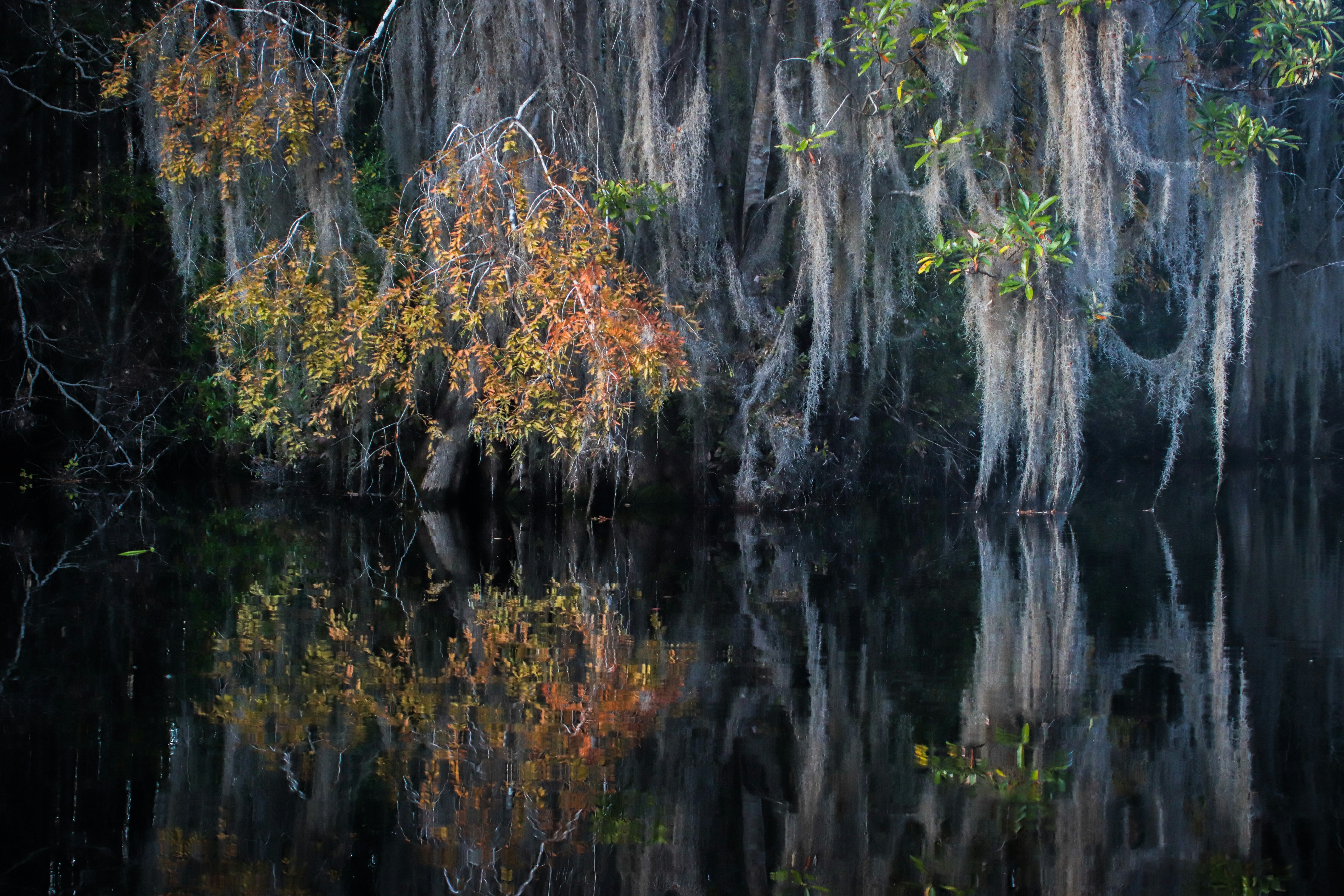 Photo by alla_kemelmakher