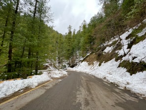 Mountain road winding through a snowy pine forest near ski slopes in the Pyrenees.