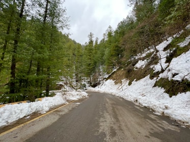 Mountain road winding through a snowy pine forest near ski slopes in the Pyrenees.