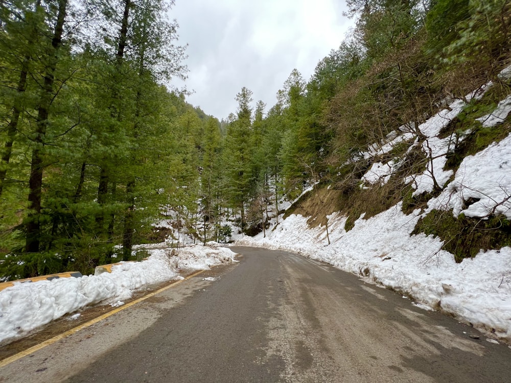 eine schneebedeckte Straße mitten im Wald